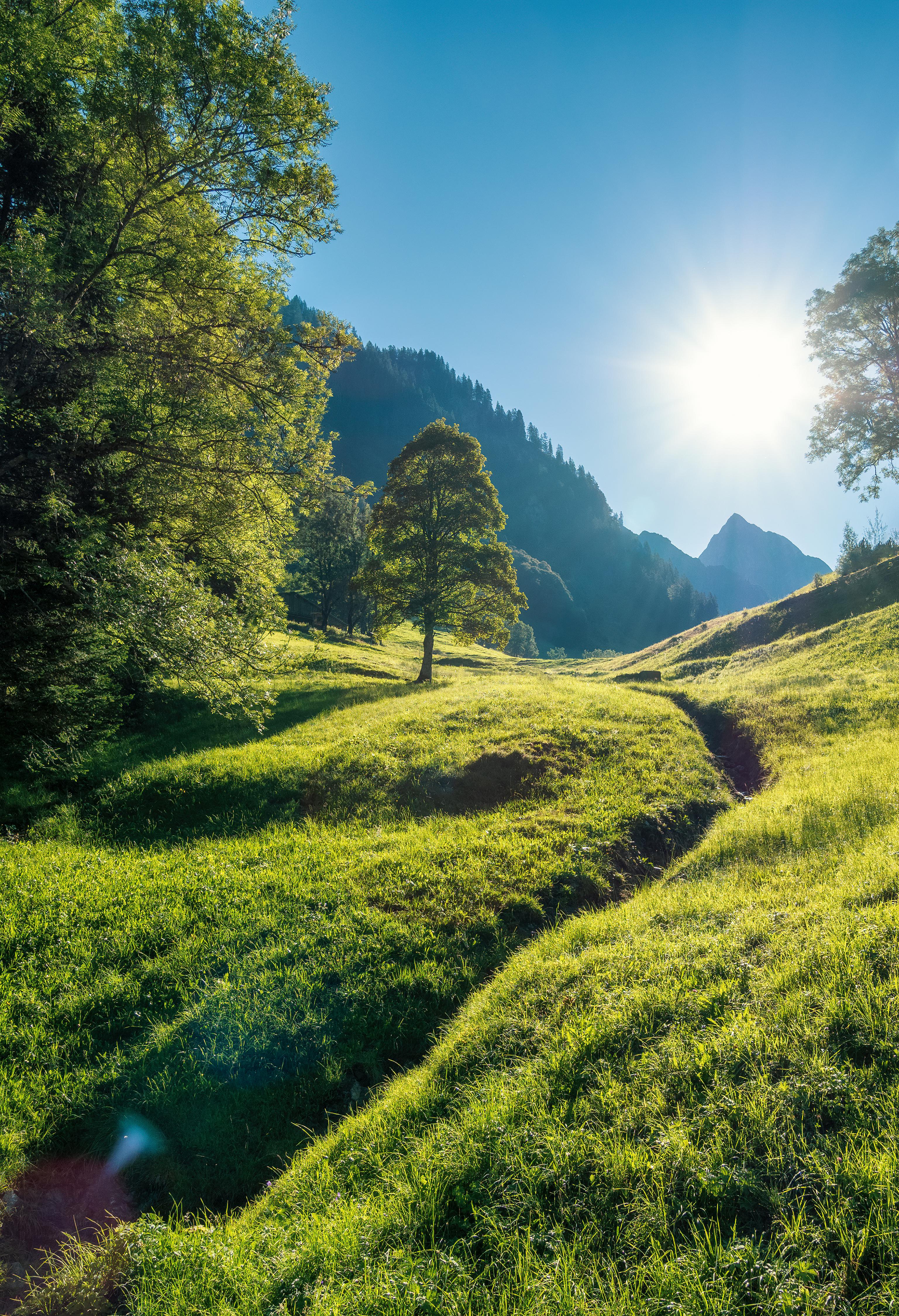 3074x4500 Early morning summer vibes, Oberstdorf, Germany [OC] [3074x4500}