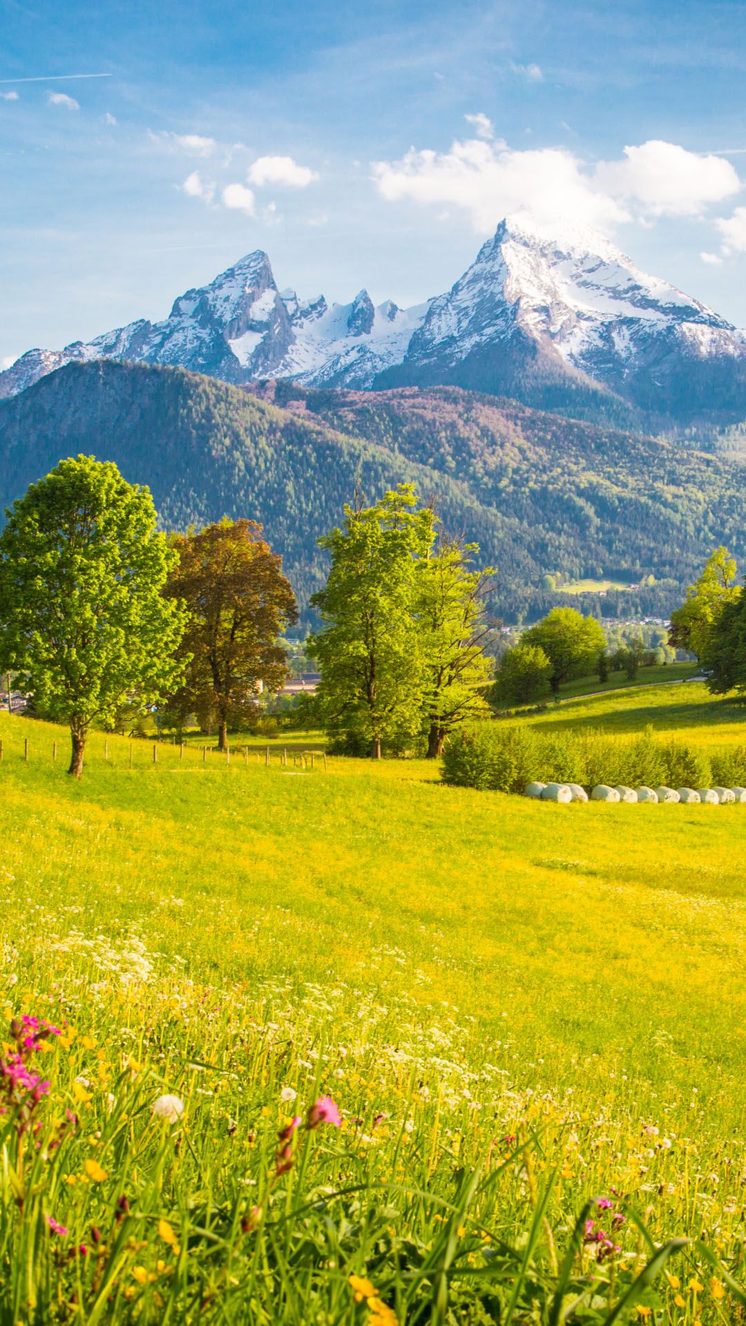 1080x1920 Alpine mountain scenery with meadows and peaks on a sunny day in springtime, Bavaria, Germany. Windows Spotlight Image