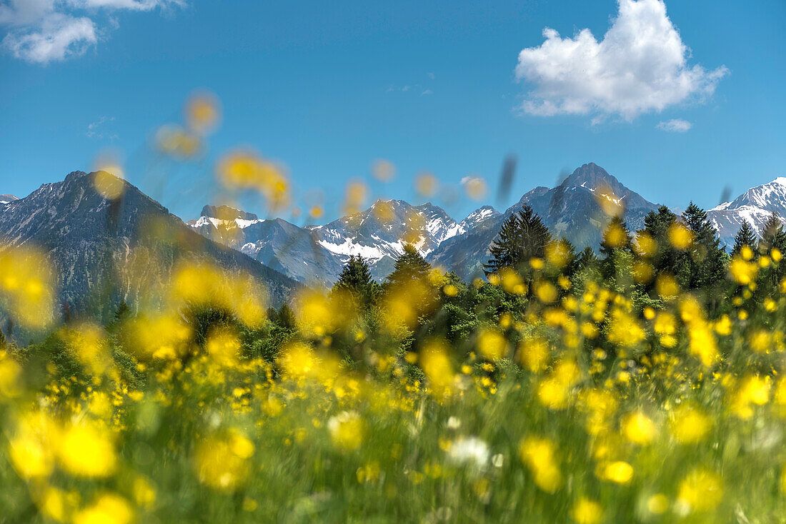1100x734 Germany, Bavaria, Alps, Oberallgaeu