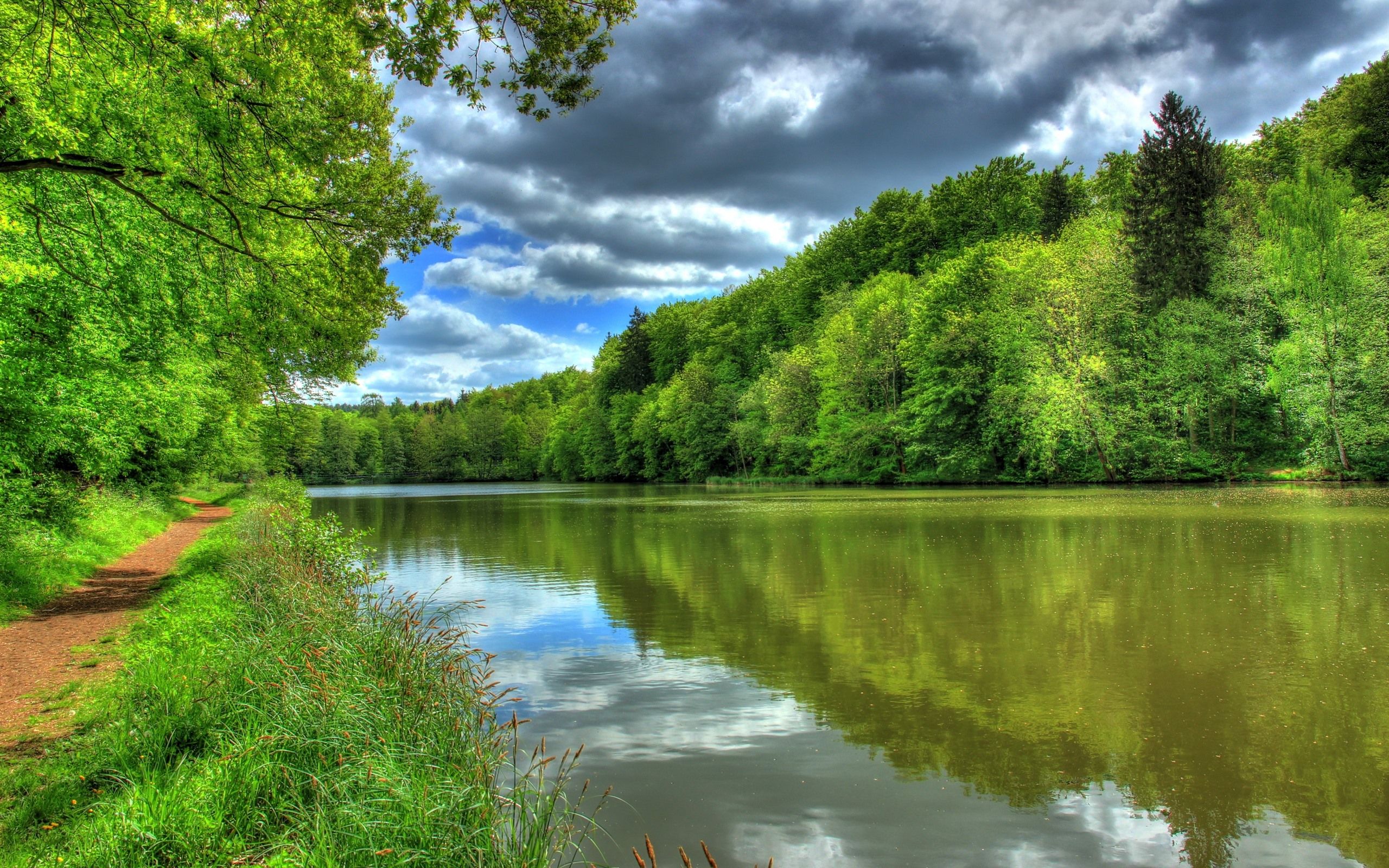 2560x1600 Wallpaper Germany, river, trees, path, green 2880x1800 Picture, Image