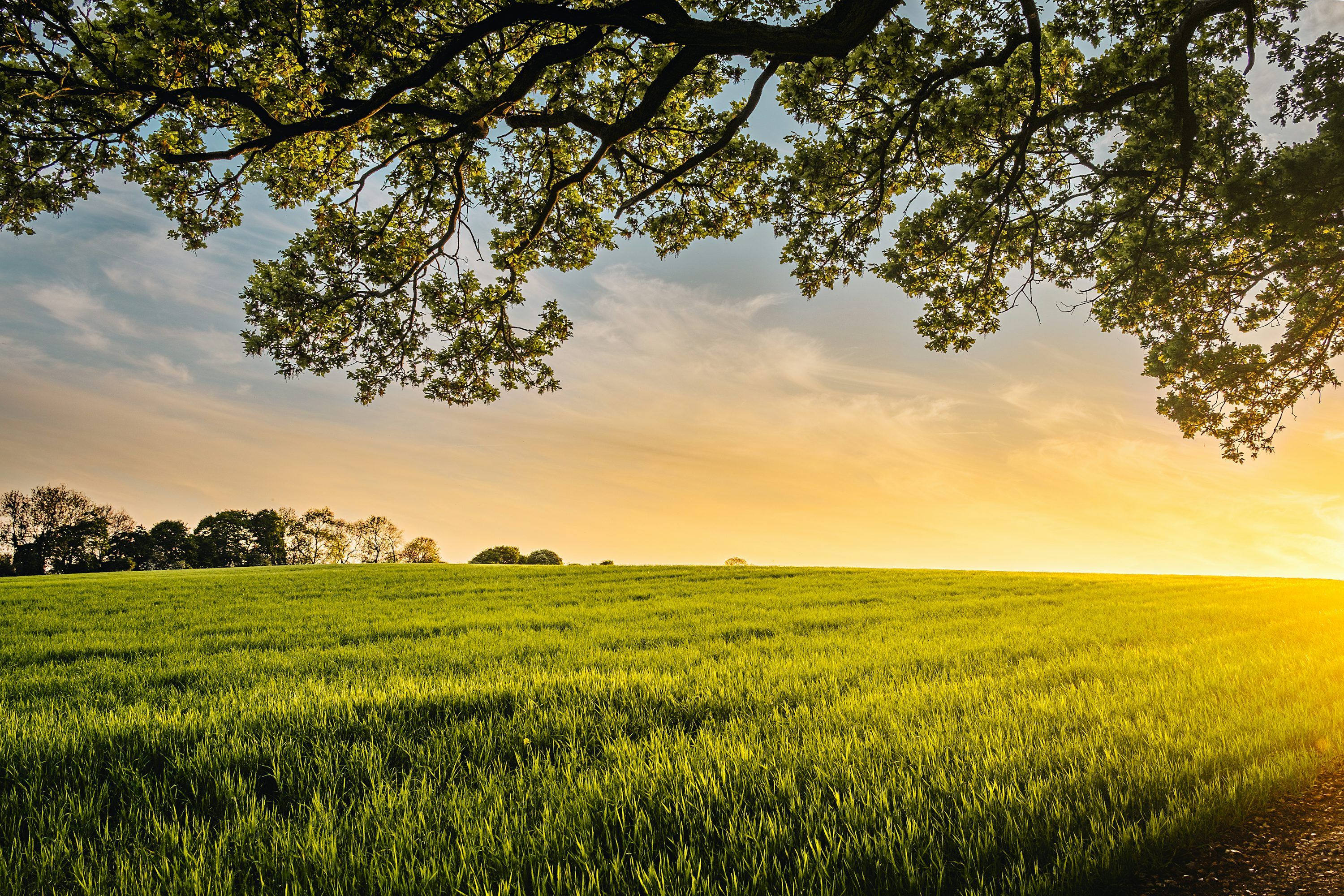 3000x2000 Farm Background Image HD & 4K Downloads