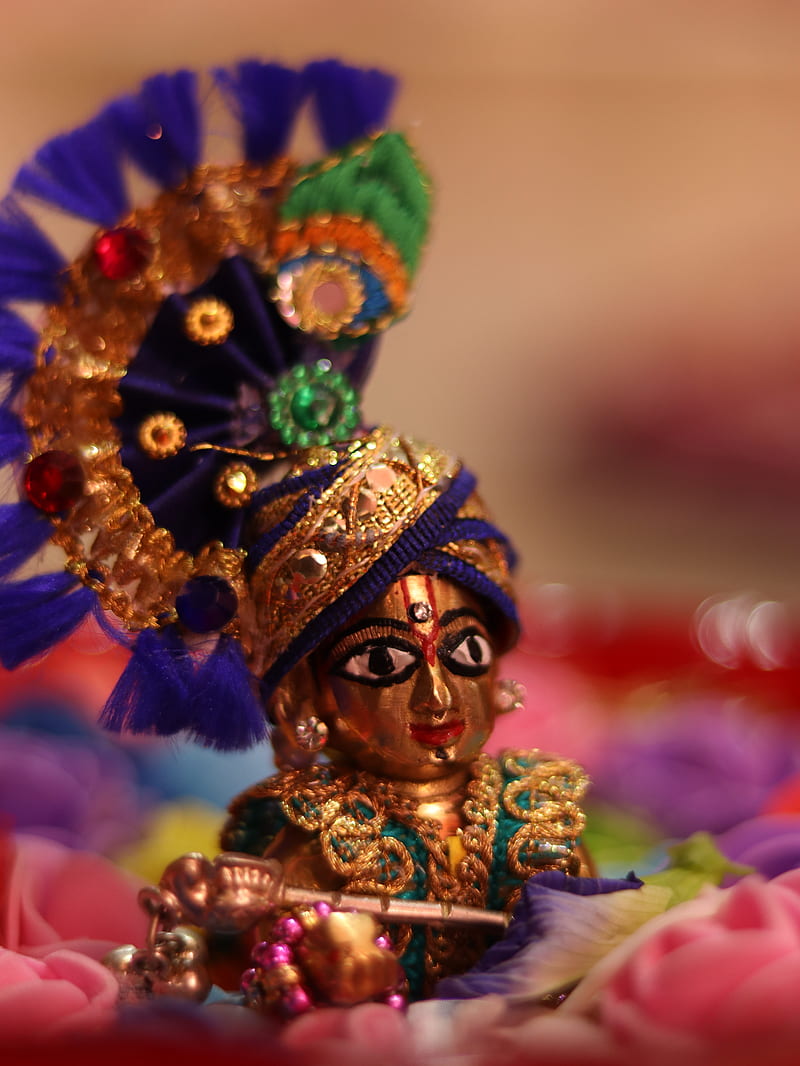 800x1066 Ladoo gopal, #god, #janamastmi, #bhagwan, #krishna, HD phone wallpaper