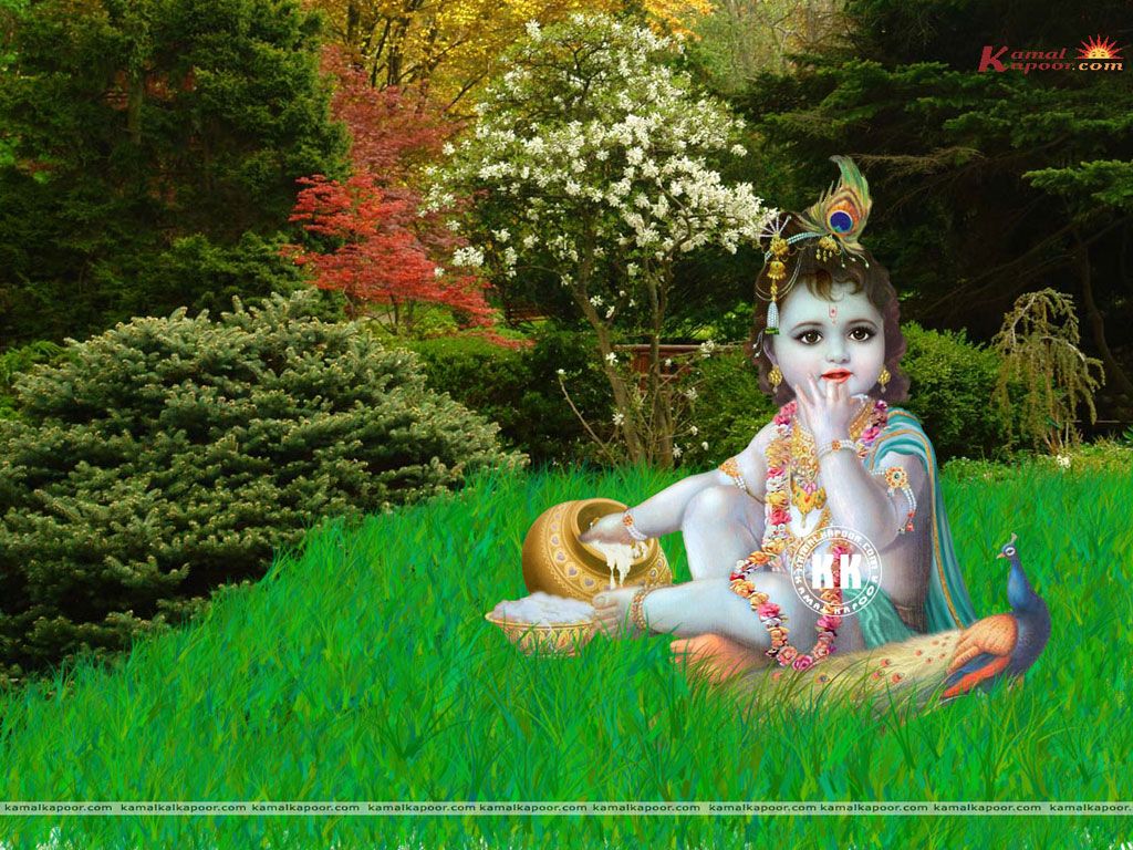 1024x768 baby krishna wallpaper, baby krishna pics, baby krishna wallpaper hd, baby krishna wallpaper