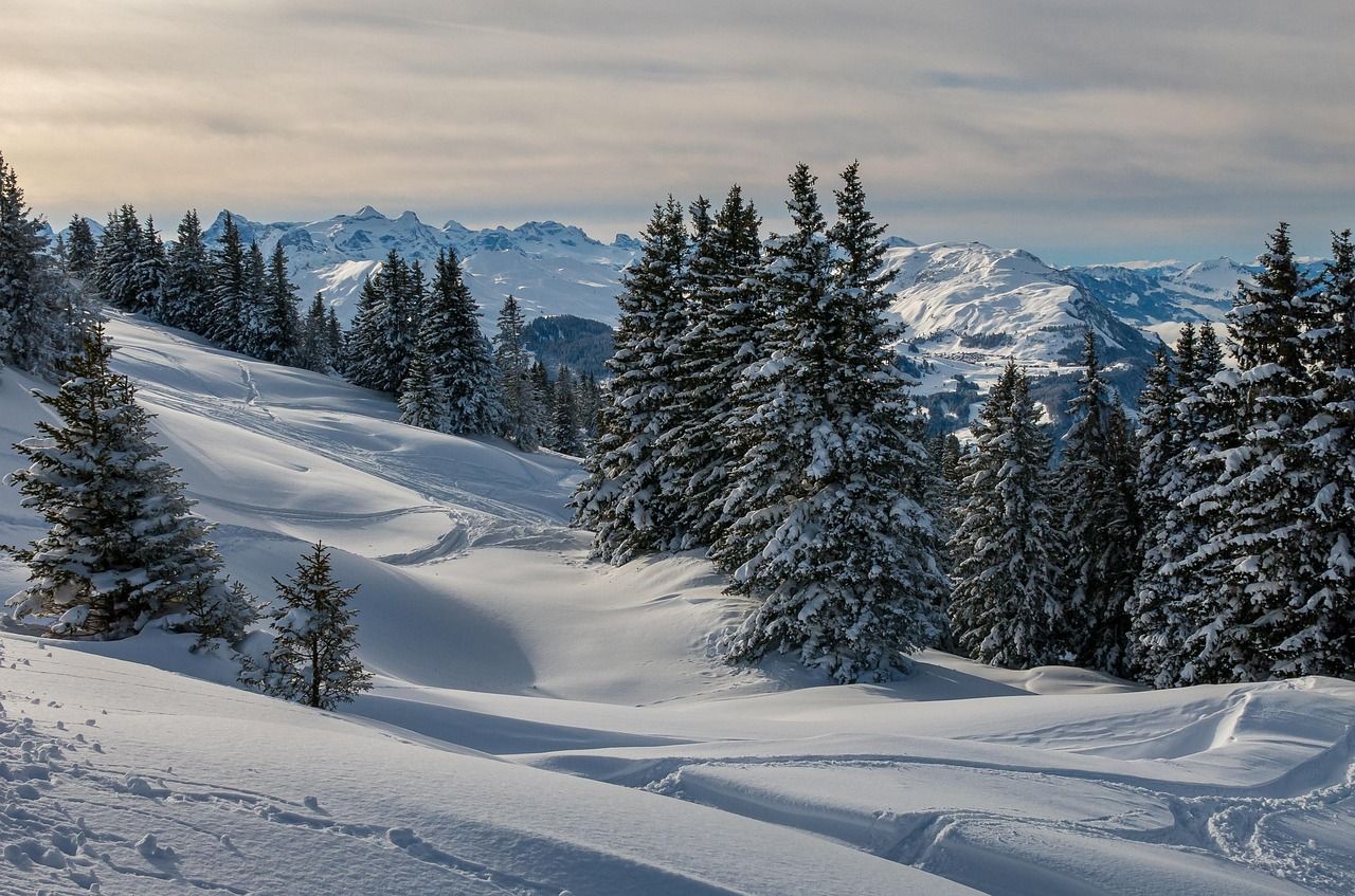 1280x847 Hochybrig Schwyz Switzerland