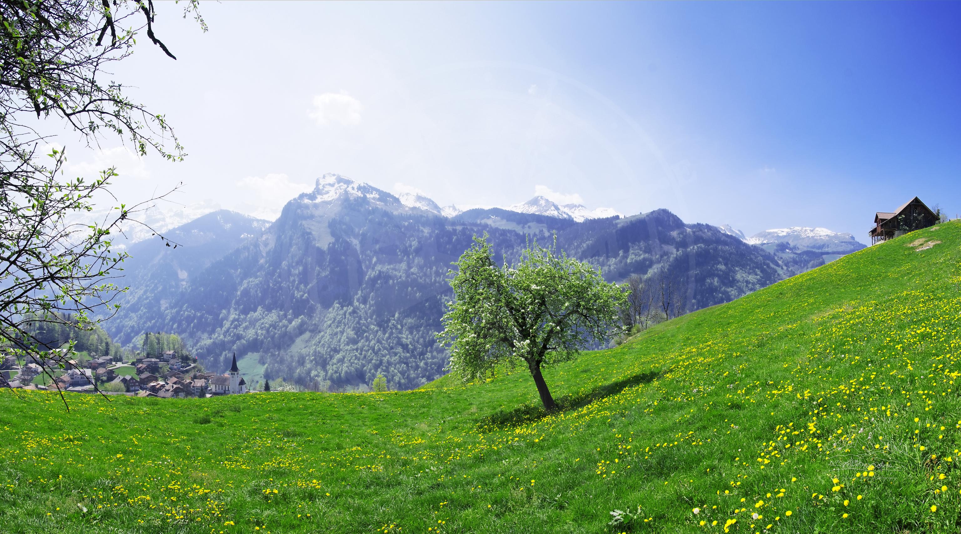 3072x1707 Spring panoramic landscape photo with tree in Illgau, Switzerland