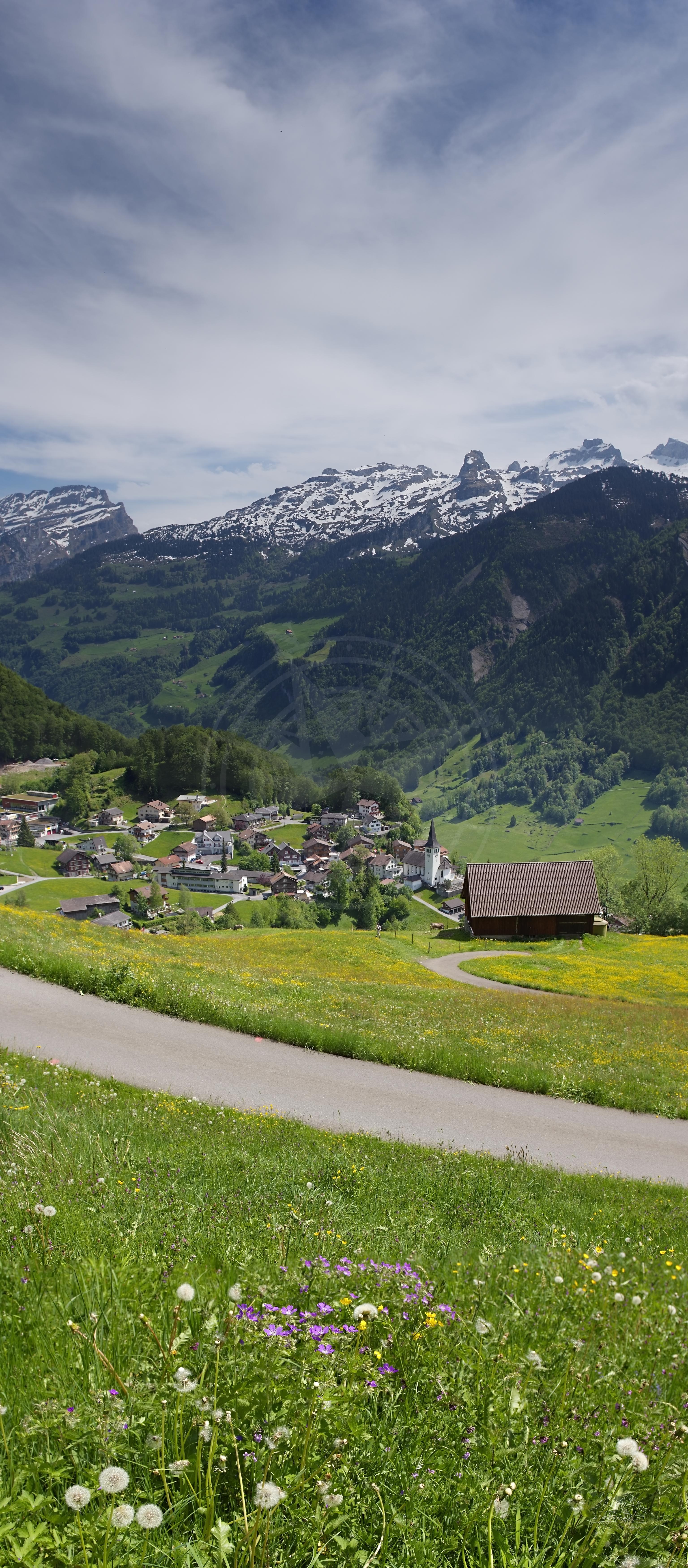 3072x6994 Spring Meadow Panorama in Illgau, Schwyz. Switzerland Landscape Photo