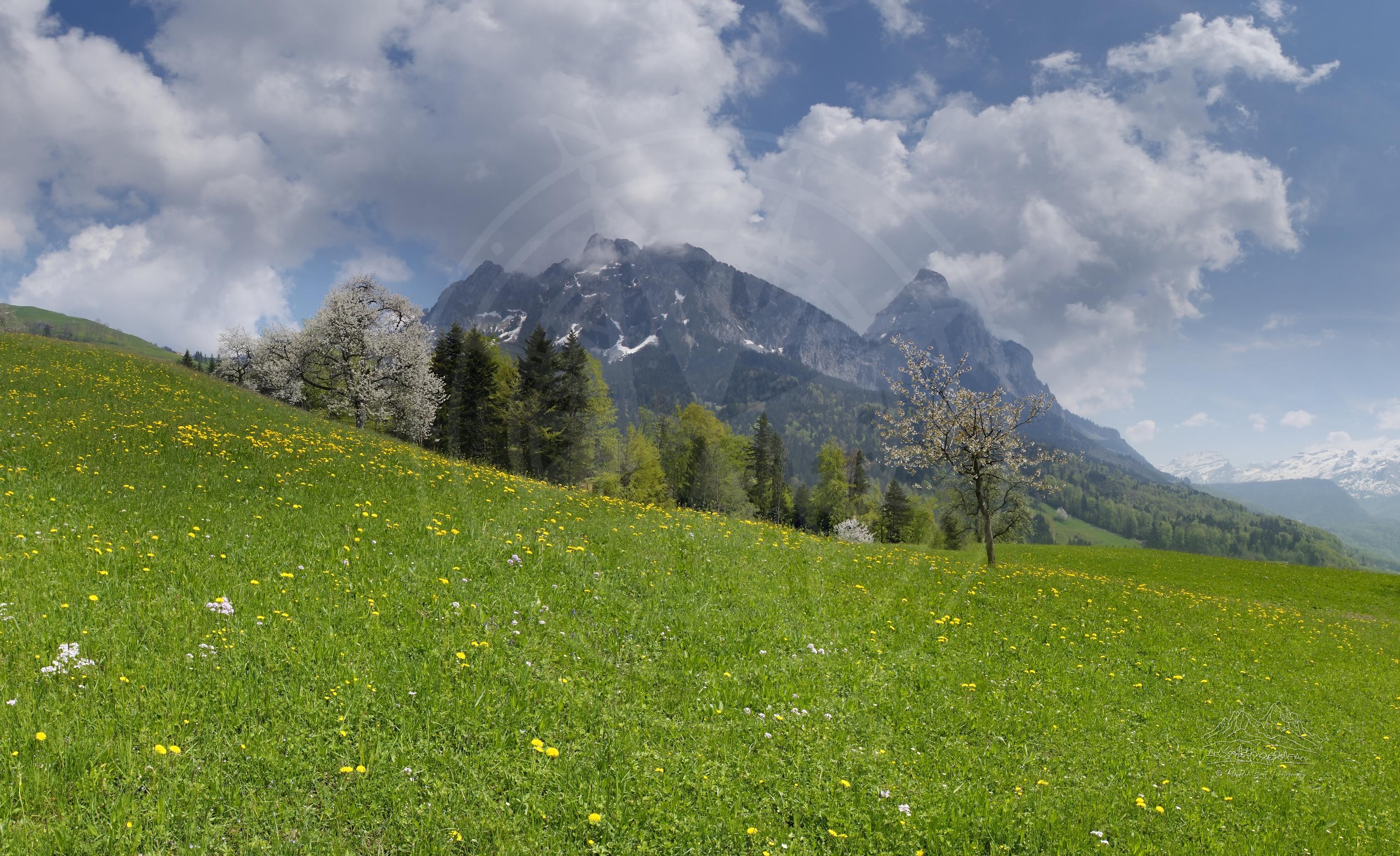 3072x1878 Spring Farmland Panorama in Schwyz Switzerland Landscape Photo