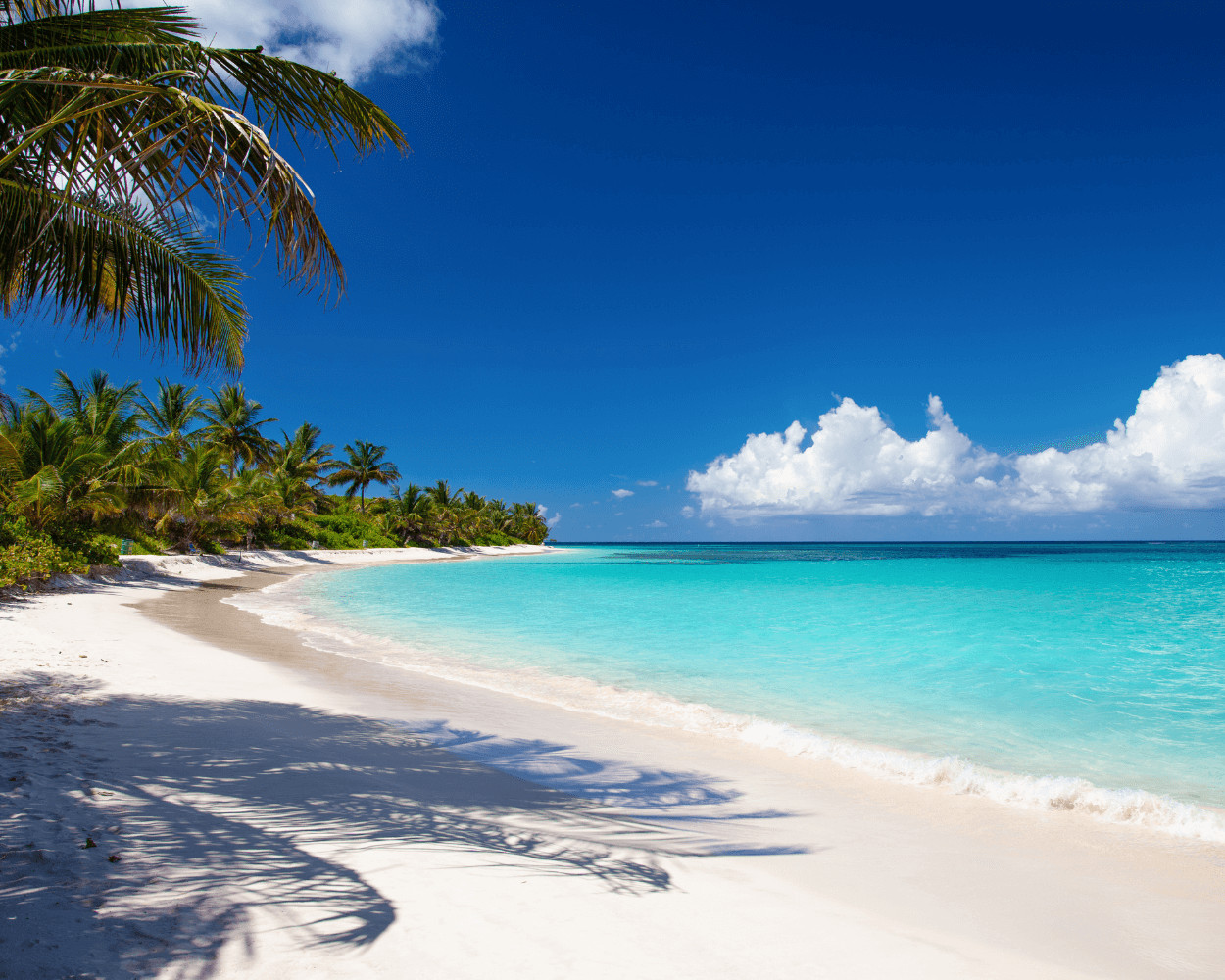 1250x1000 Flamenco Beach Puerto Rico and Hike