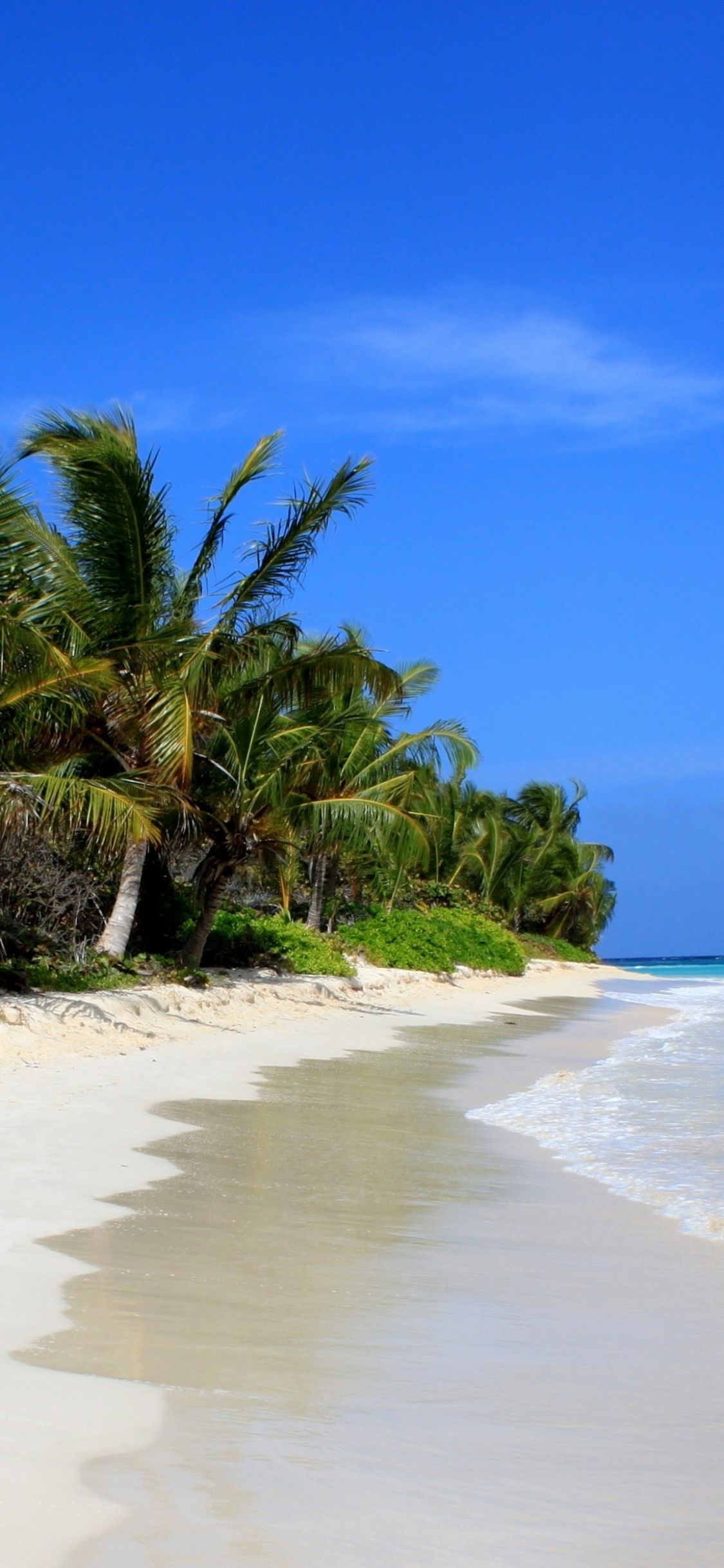 1125x2436 Flamenco Beach Phone Wallpaper: Free 4K & HD Downloads