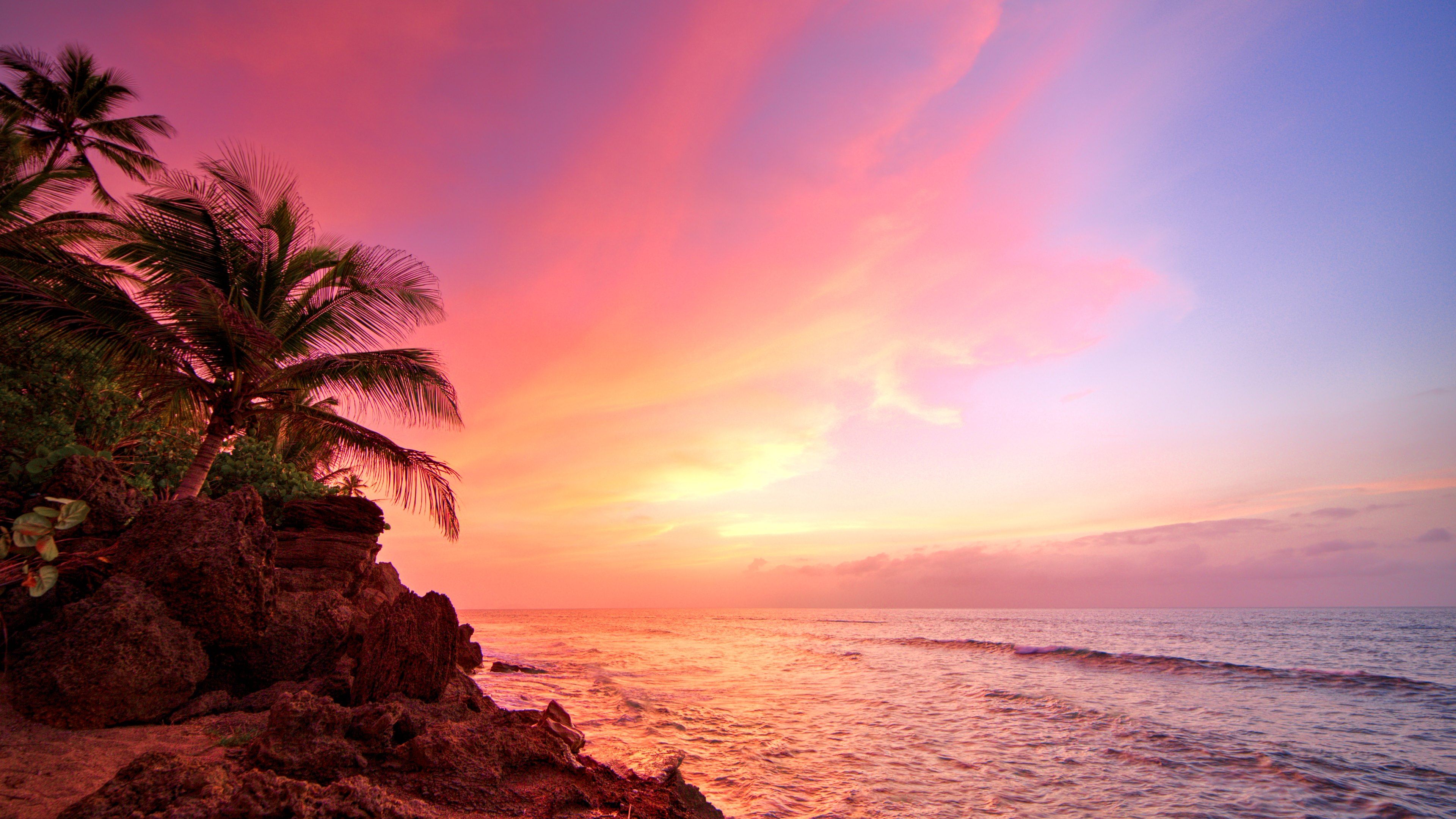 3840x2160 Flamenco Beach Phone Wallpaper: Free 4K & HD Downloads