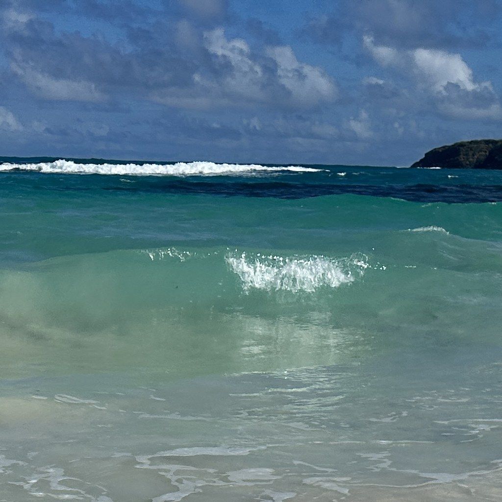 1024x1024 Calle Sin Salida: Flamenco Beach
