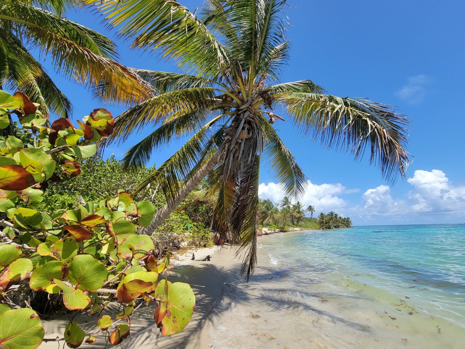 1920x1440 Flamenco Beach Review