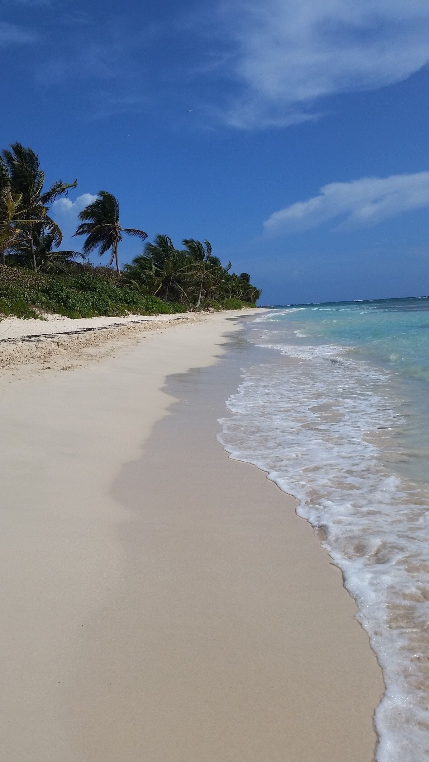 1377x2448 Flamenco Beach Tours