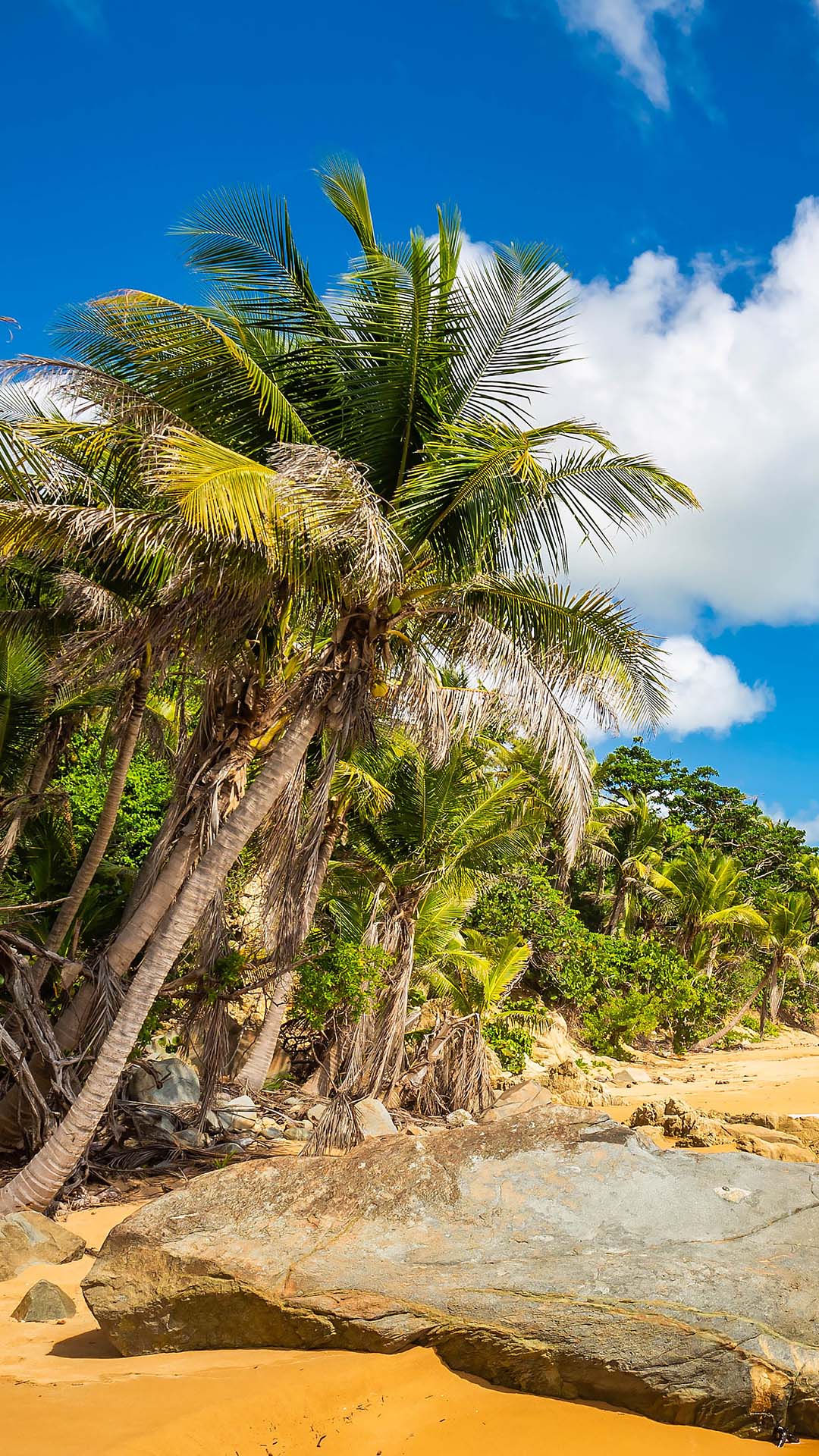 1080x1920 Exotic carribean shore of Flamenco beach on the Caribbean island of Culebra, Puerto Rico. Windows Spotlight Image