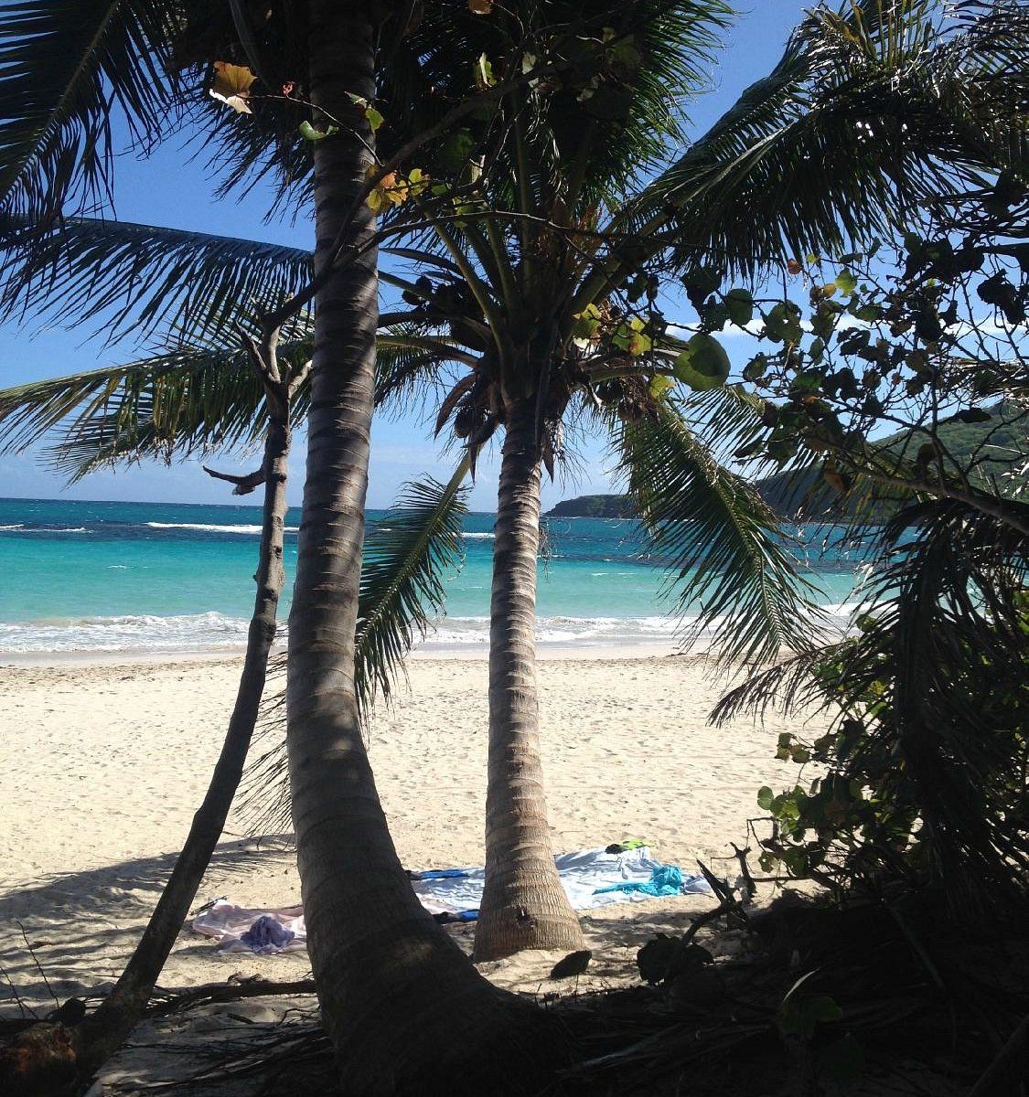 1125x1200 PLAYA FLAMENCO AREA DE ACAMPAR Reviews (Culebra, Puerto Rico)