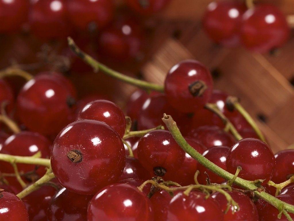 1024x768 Cute Sweet Fruit HD Wallpaper