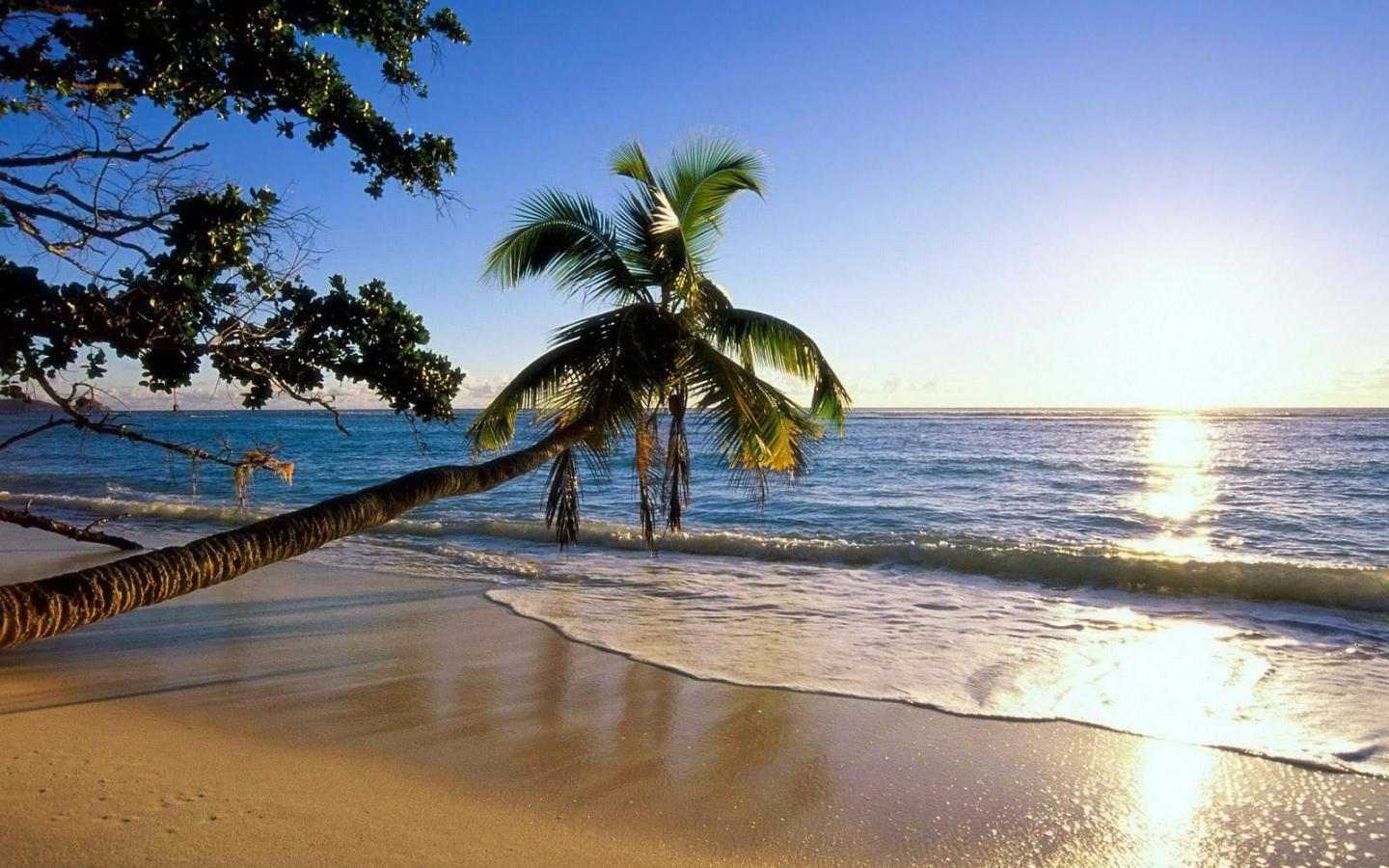 1440x900 Beachfront Wallpaper