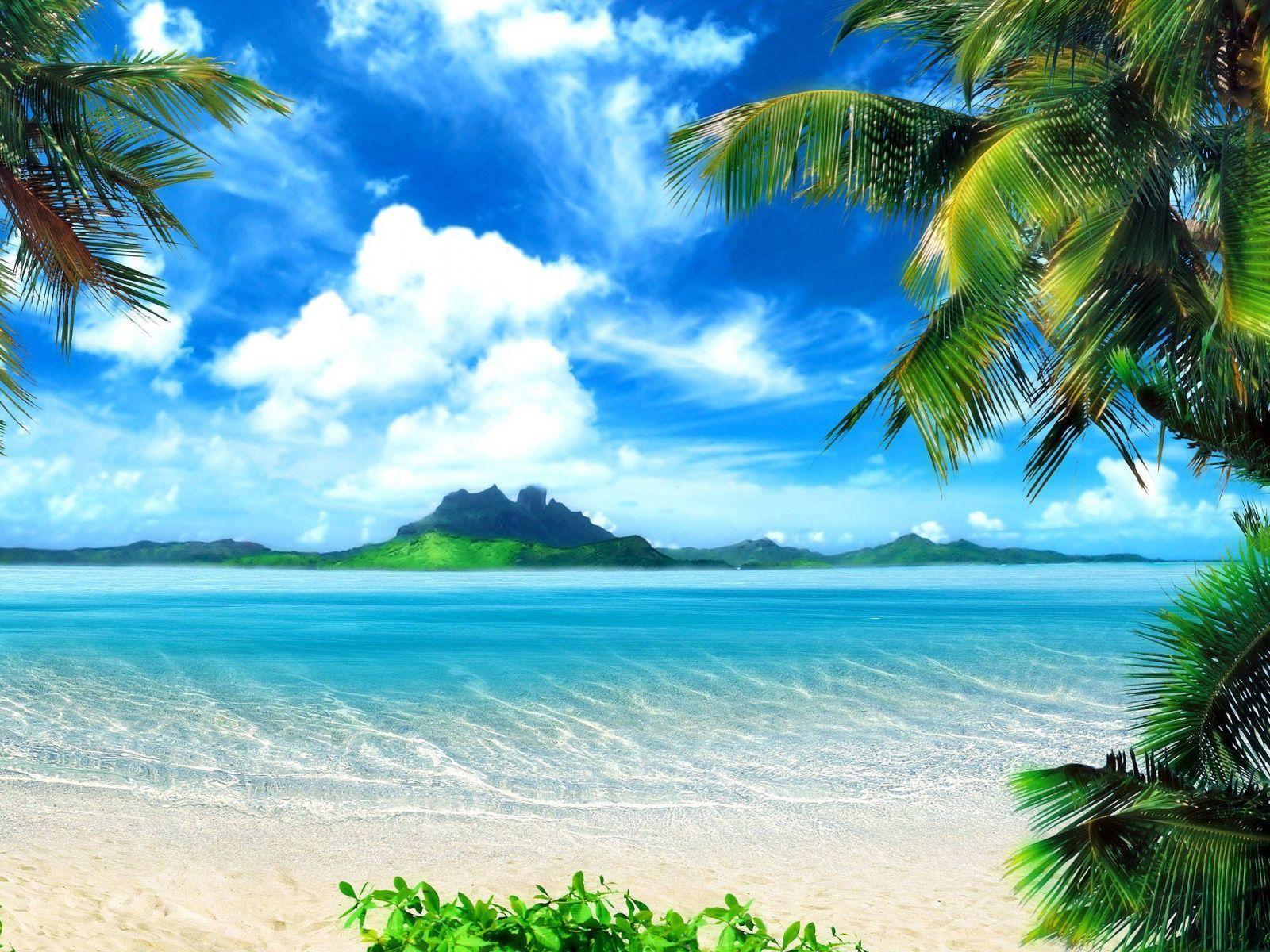 1600x1200 jaysonshawver.com. Beach backdrop, Beach background, Beach wallpaper