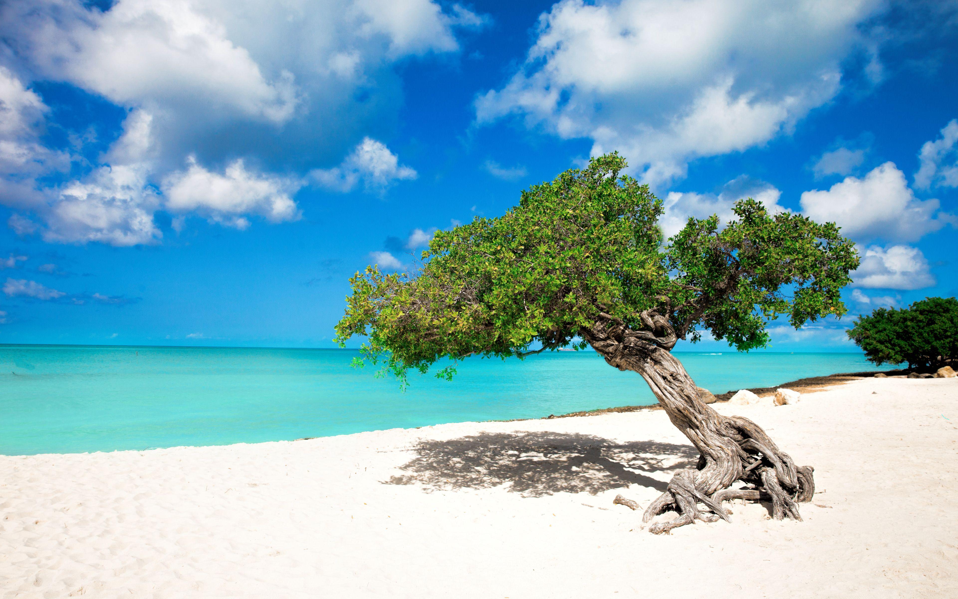 3840x2400 Aruba Desktop Wallpaper