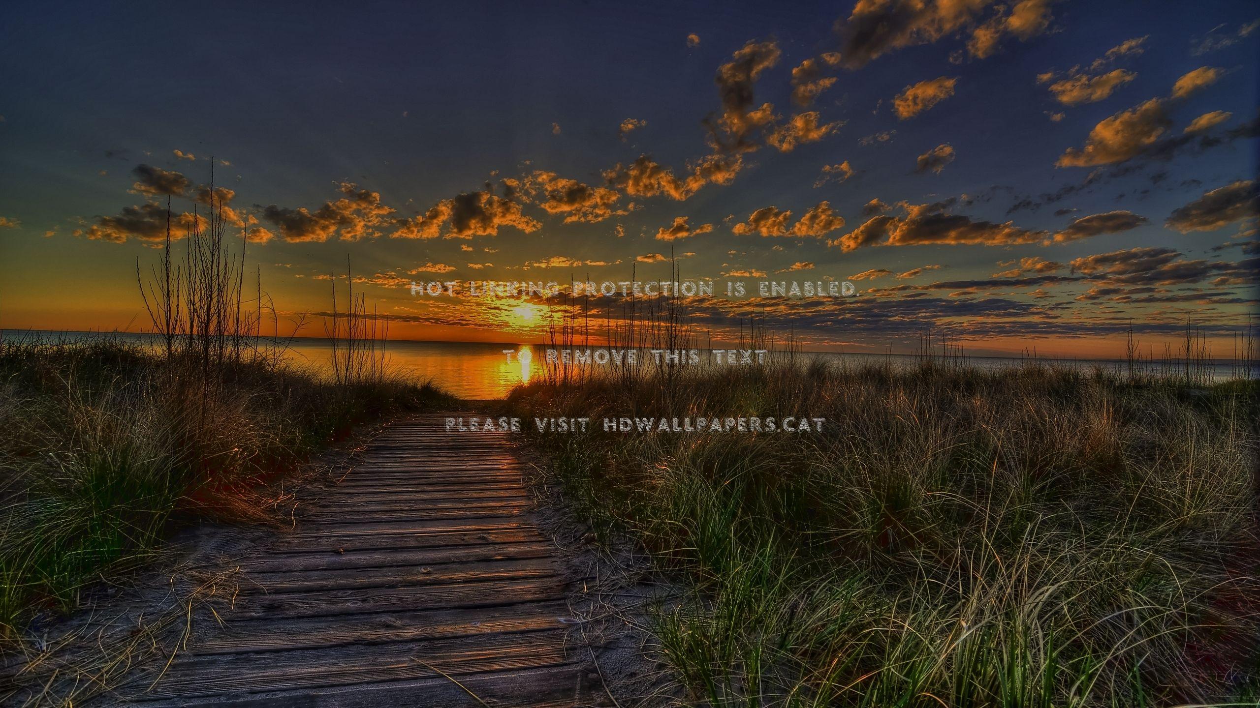 2560x1440 summer sunset beachfront sunlight shoreline