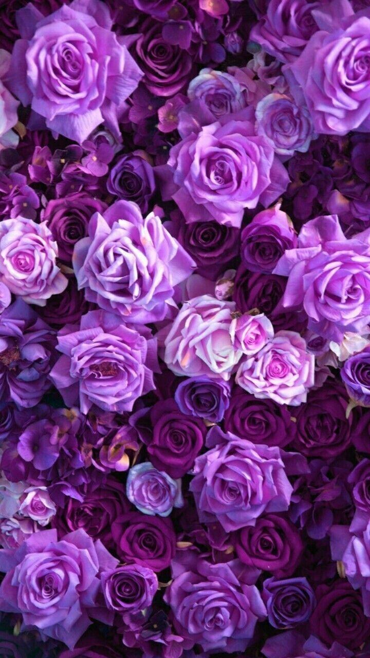 Floral Light Purple Aesthetic Wallpapers - Top Free Floral Light Purple