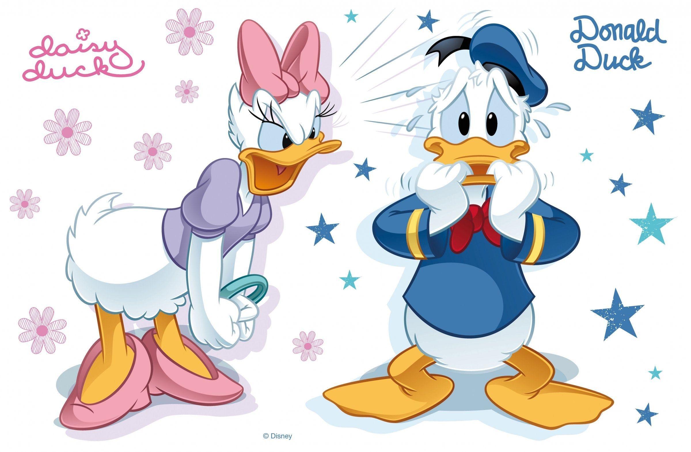 2400x1570 daisy duck HD wallpaper duck category. Disney cartoons, Donald and daisy duck, Donald duck