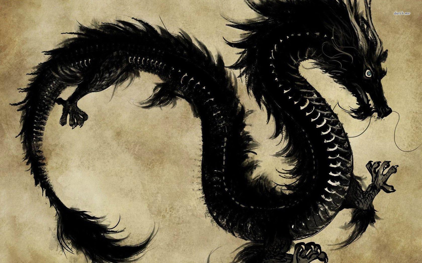 1680x1050 Black Chinese dragon wallpaper wallpaper
