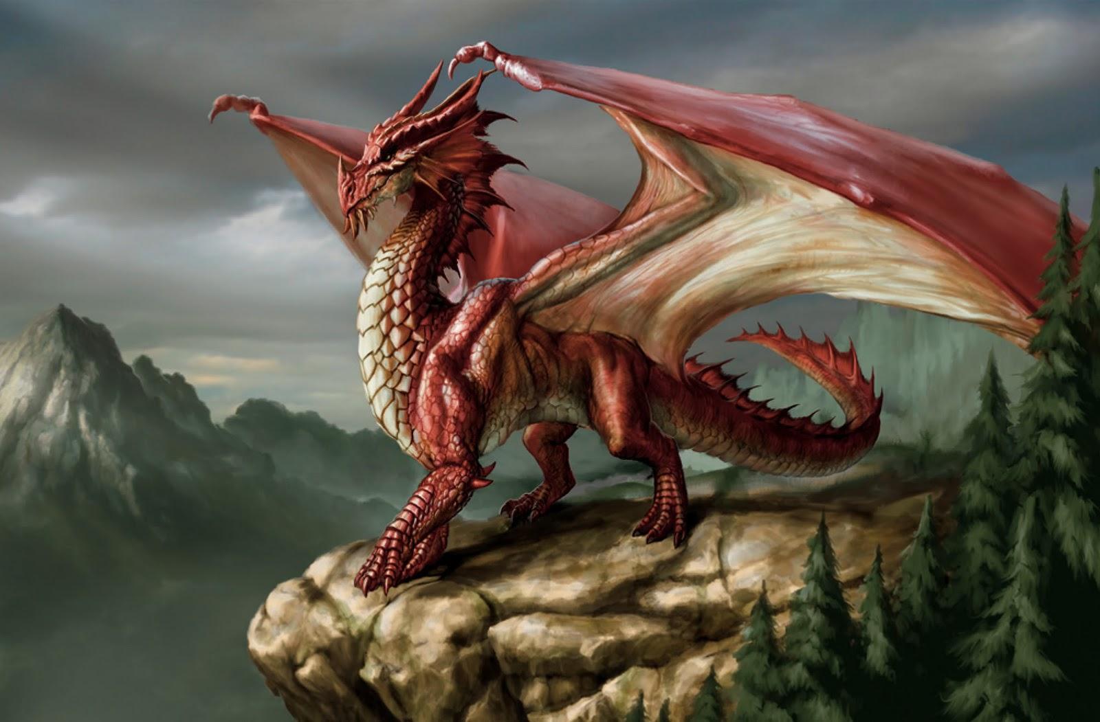 1600x1051 Appreciate A Dragon Day Wallpaper