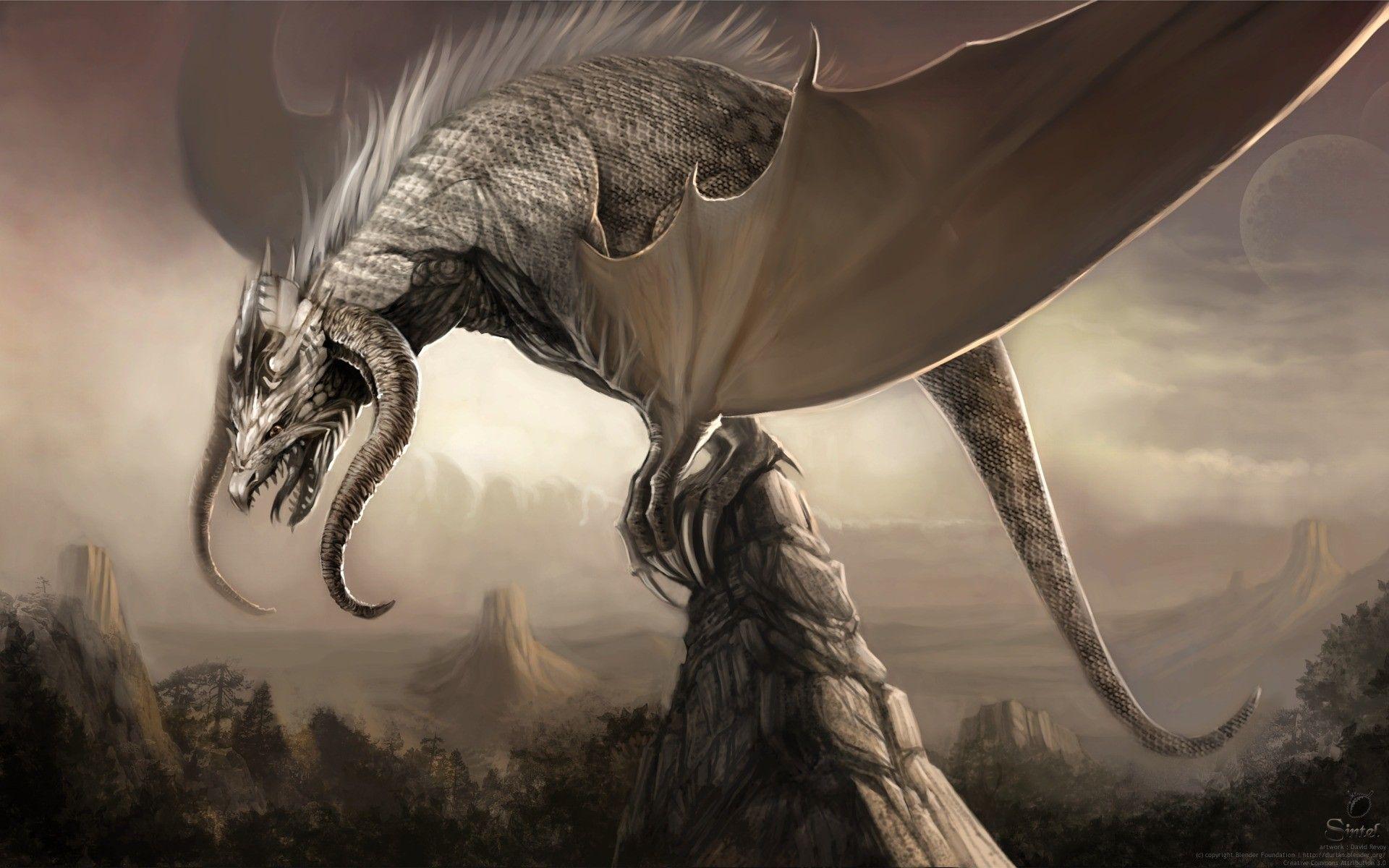 1920x1200 Dragon Wallpaper Realistic
