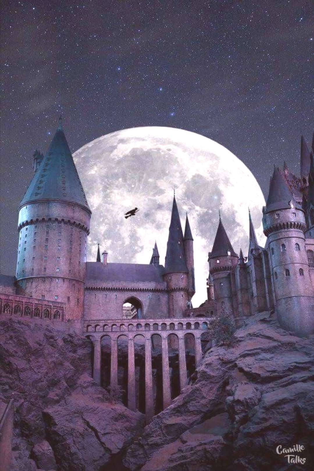 1080x1620 Harry Potter Hogwarts Wallpaper