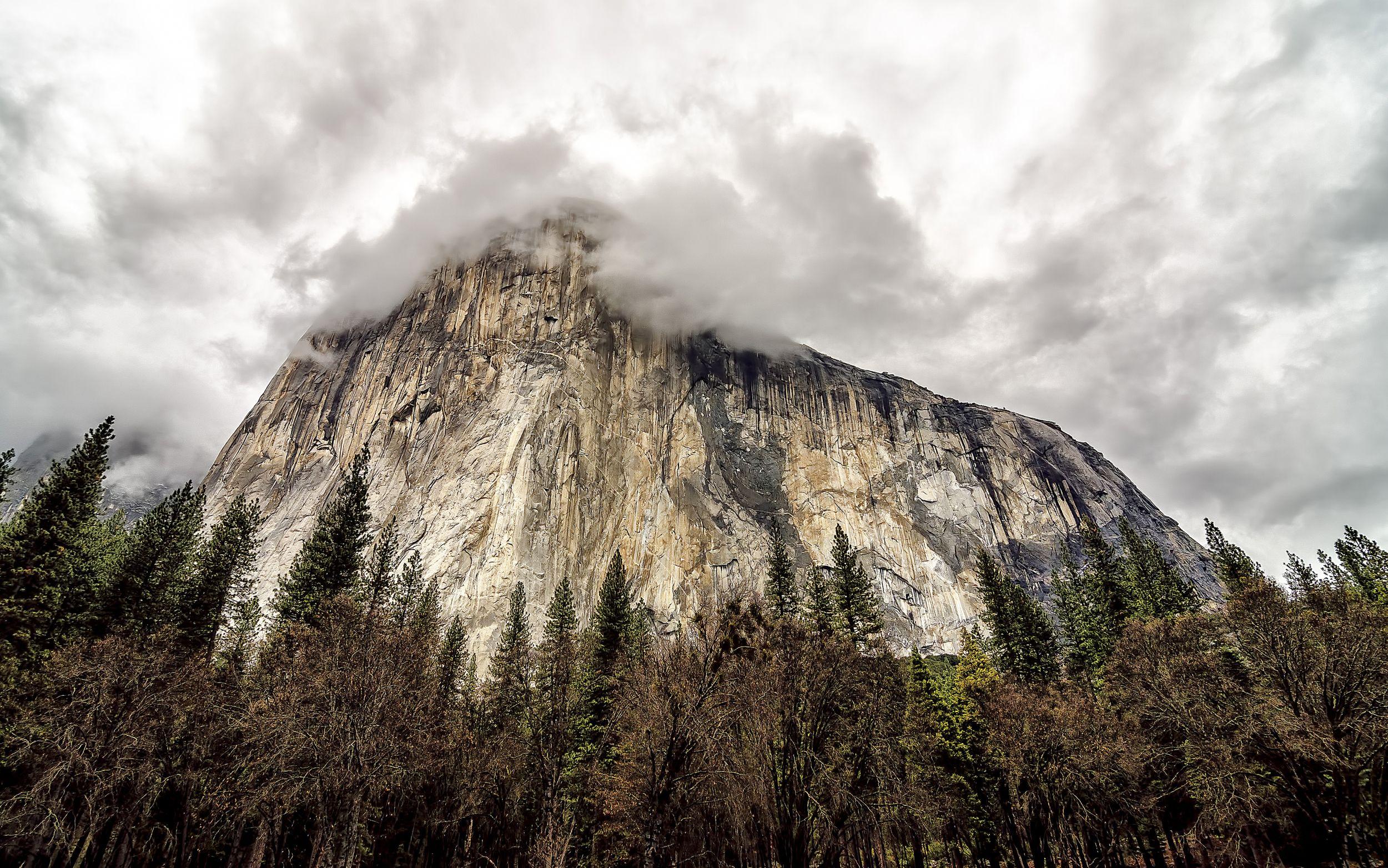 2500x1563 Thank Apple's OS X Yosemite Announcement For This Collection Of Desktop & iPhone WallPapers