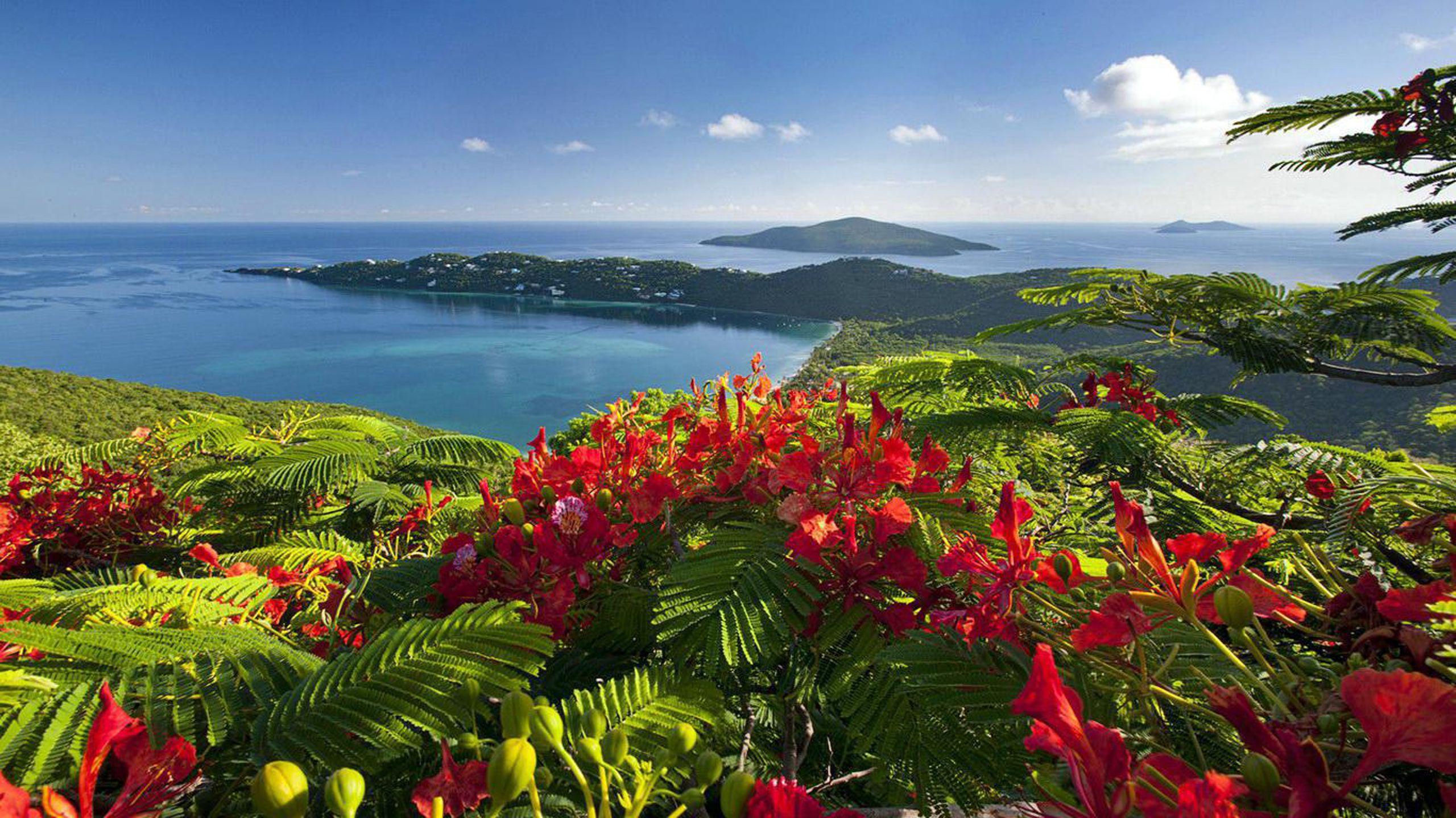 2560x1440 Caribbean Islands Beautiful View Exotic Holiday Wallpaper HD :