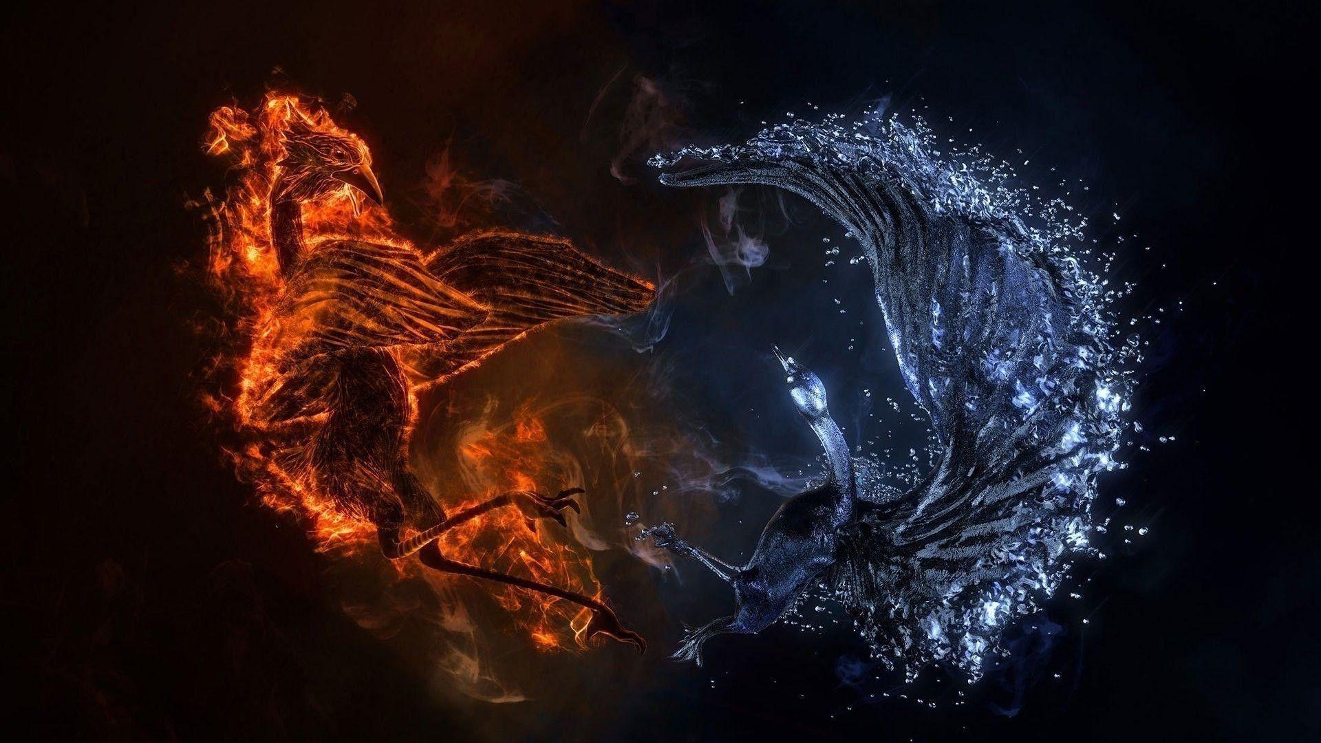 Free download Fantasy Phoenix Wallpaper 26 High Resolution Wallpaper  1920x1080 for your Desktop Mobile  Tablet  Explore 92 Chinese Dragons  Wallpapers  Chinese Wallpaper Wallpaper Of Dragons Dragons Wallpaper