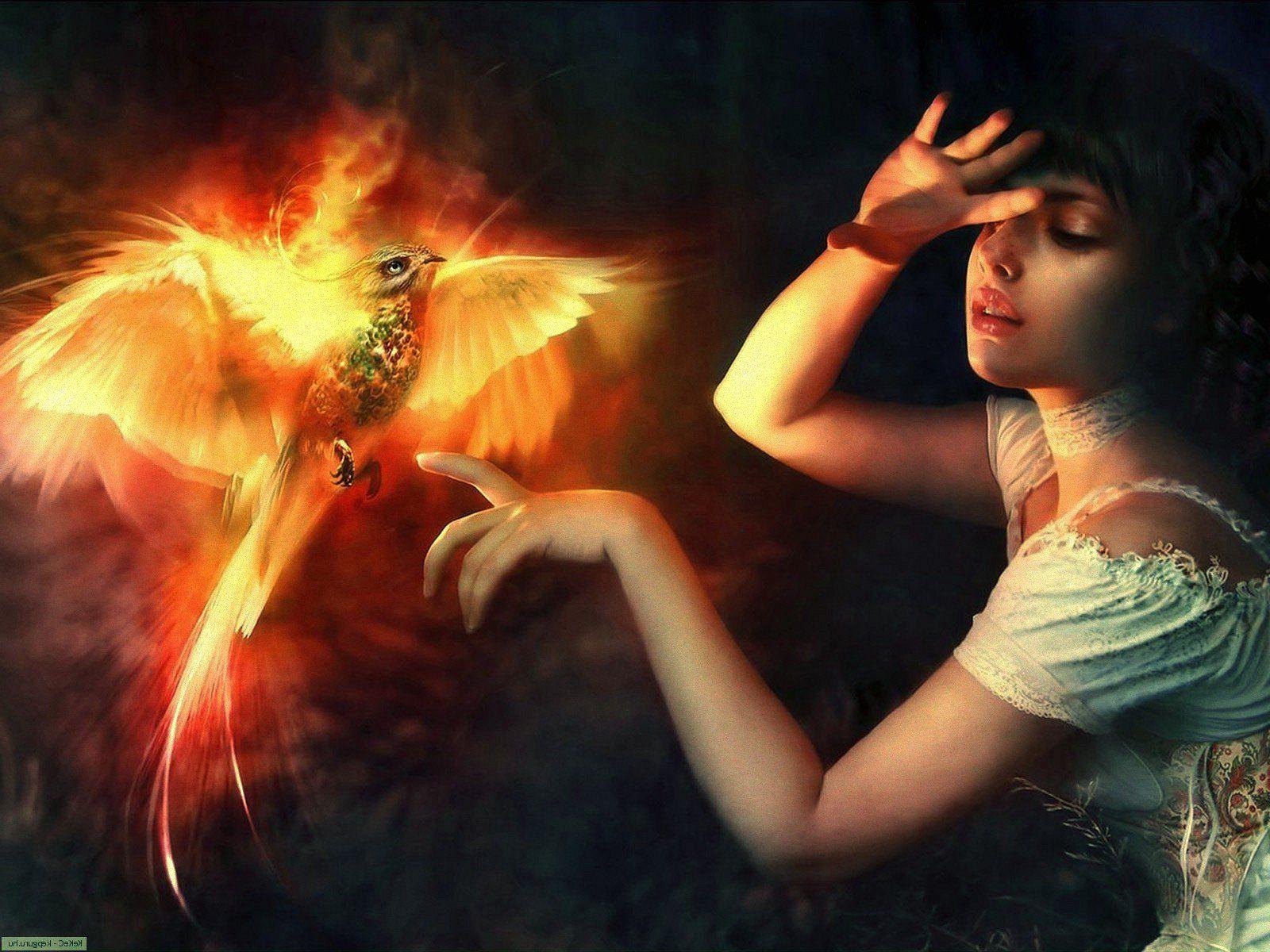 Phoenix and Dragon Wallpapers - Top Free Phoenix and Dragon Backgrounds