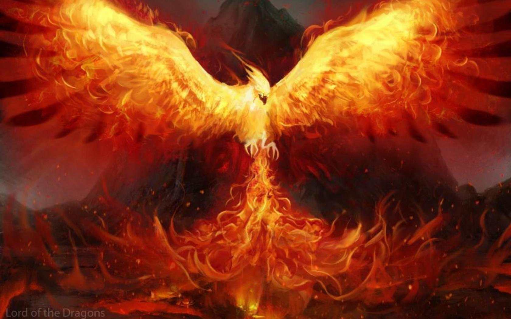 1680x1050 Dragons And Phoenix Rising From Ashes Wallpaper