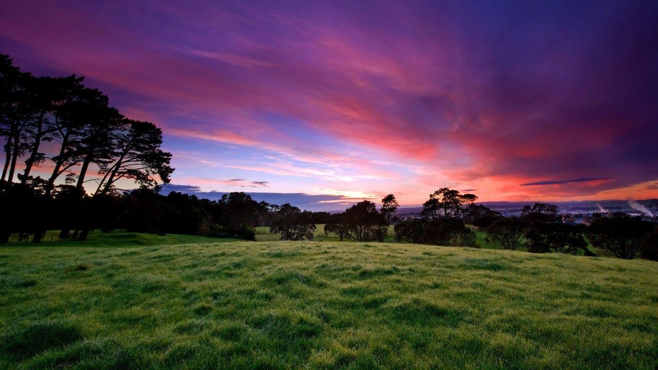 1280x720 Purple sunset over the city, cloud, meadow, tree, world wallpaper. Purple sunset over the city, cloud, meadow, tr
