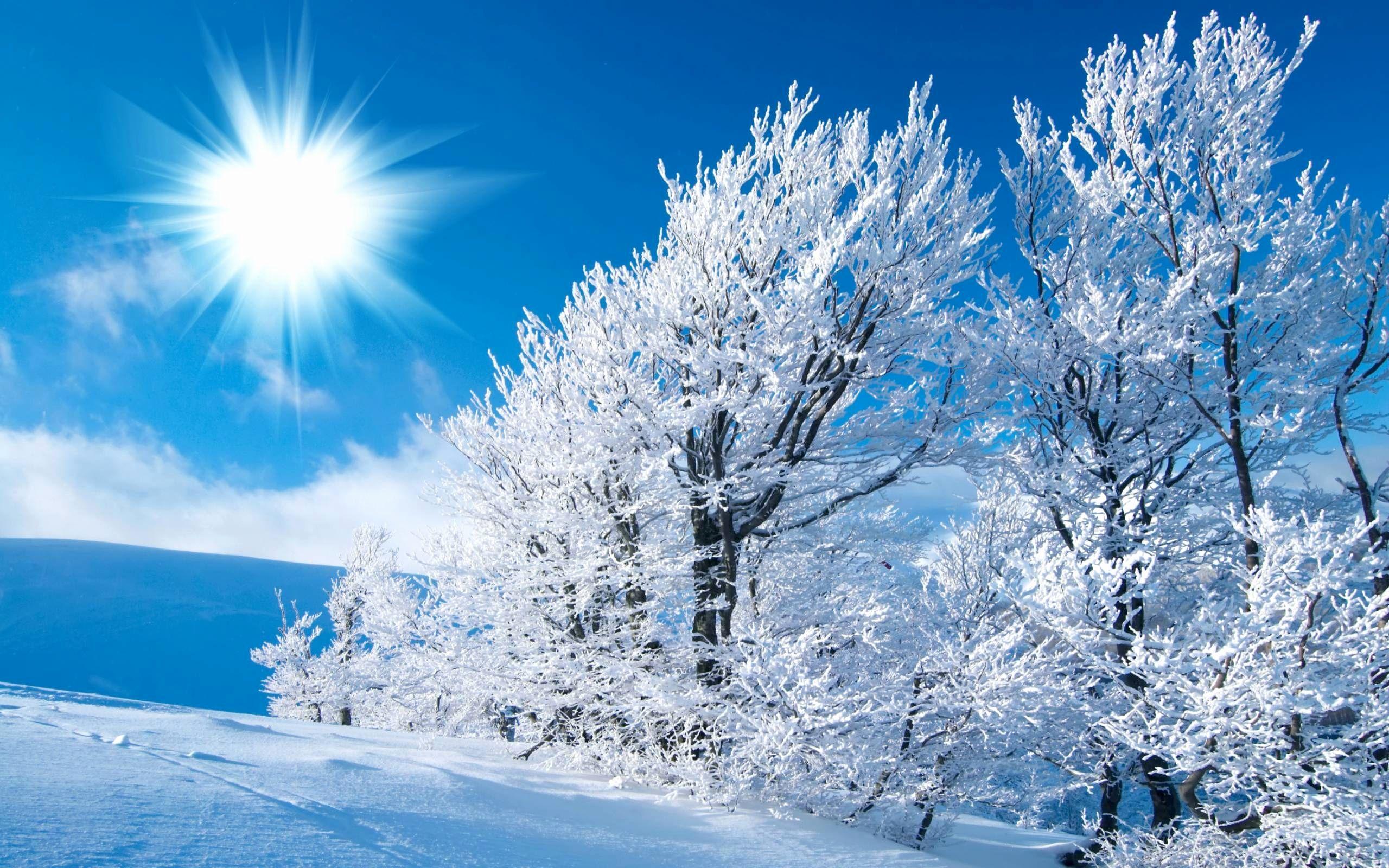 2560x1600 Scenes Wallpaper Elegant Free Desktop Wallpaper Winter Scenes This Week of The Hudson