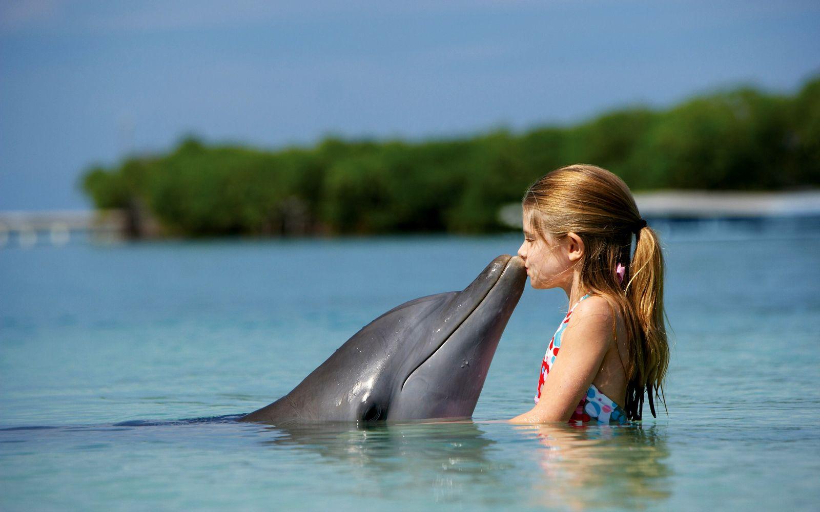 1600x1000 dolphin wallpaper kid Desktop Wallpaperk HD