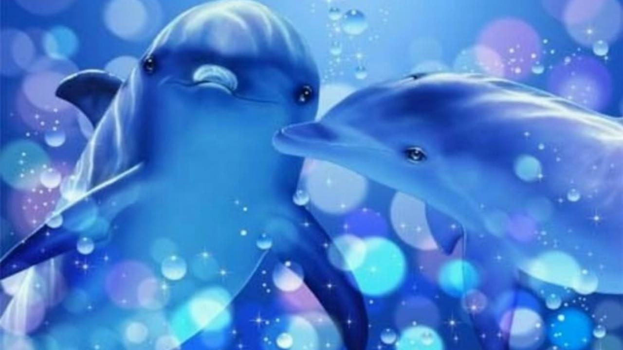 1280x720 Wallpaper of Dolphins