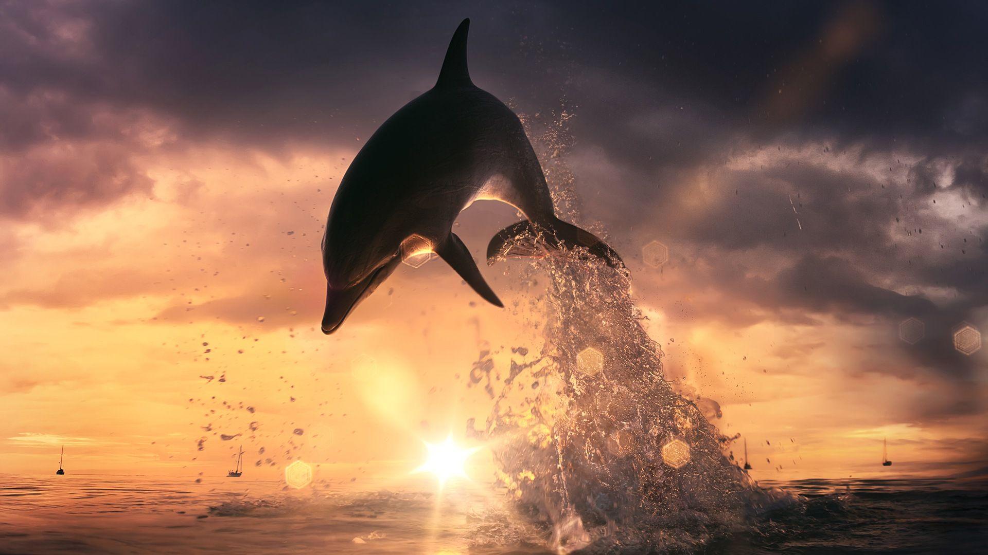 1920x1080 Oceanic Dolphins Wallpaper FREE Picture