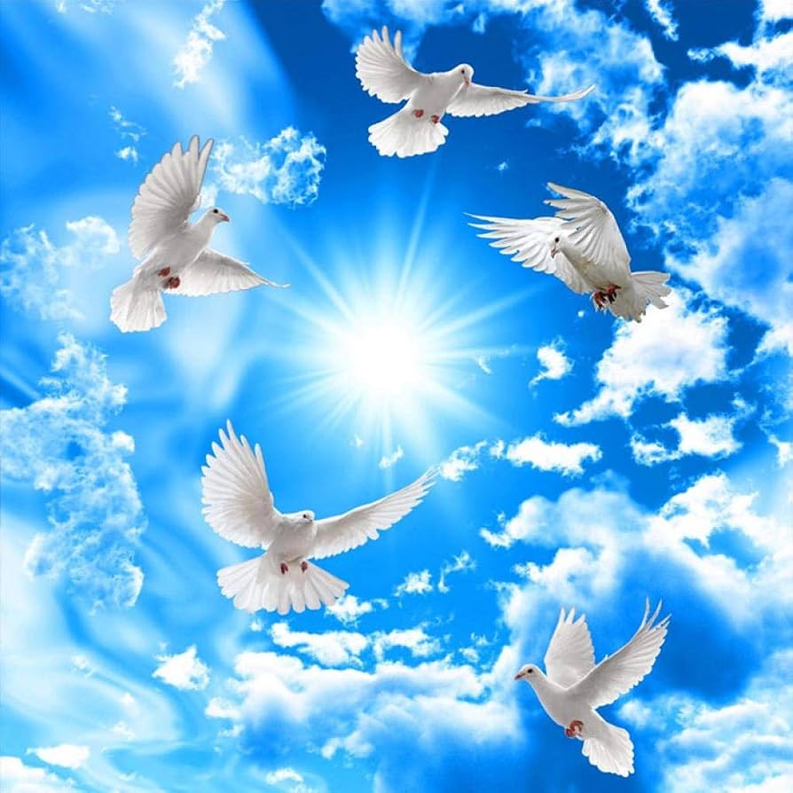 894x894 Blue Sky White Clouds Sunshine Ceiling Mural Wallpaper 3D White Pigeon Zenith Frescoes Living Room Bedroom Hotel Papel De Parede 200cm(L)×140cm(H), Wallpaper