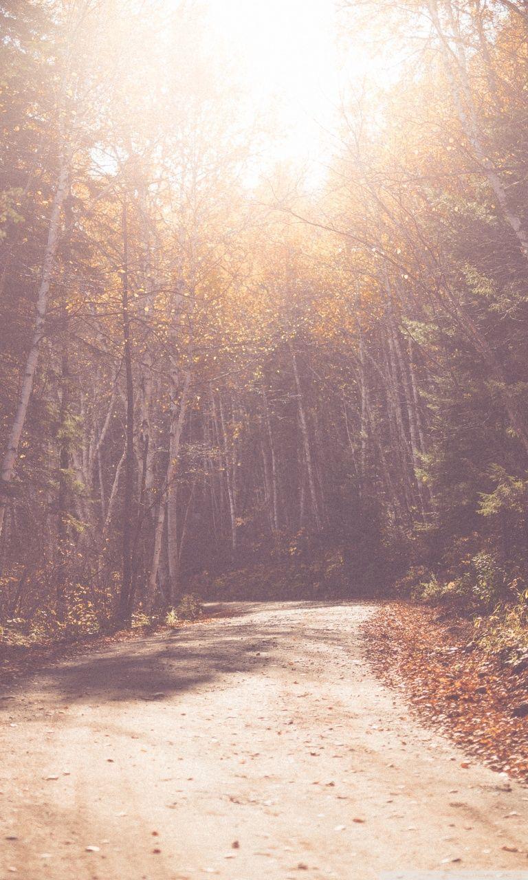 768x1280 Vintage Forest Road Ultra HD Desktop Background Wallpaper for 4K UHD TV : Widescreen & UltraWide Desktop & Laptop : Tablet