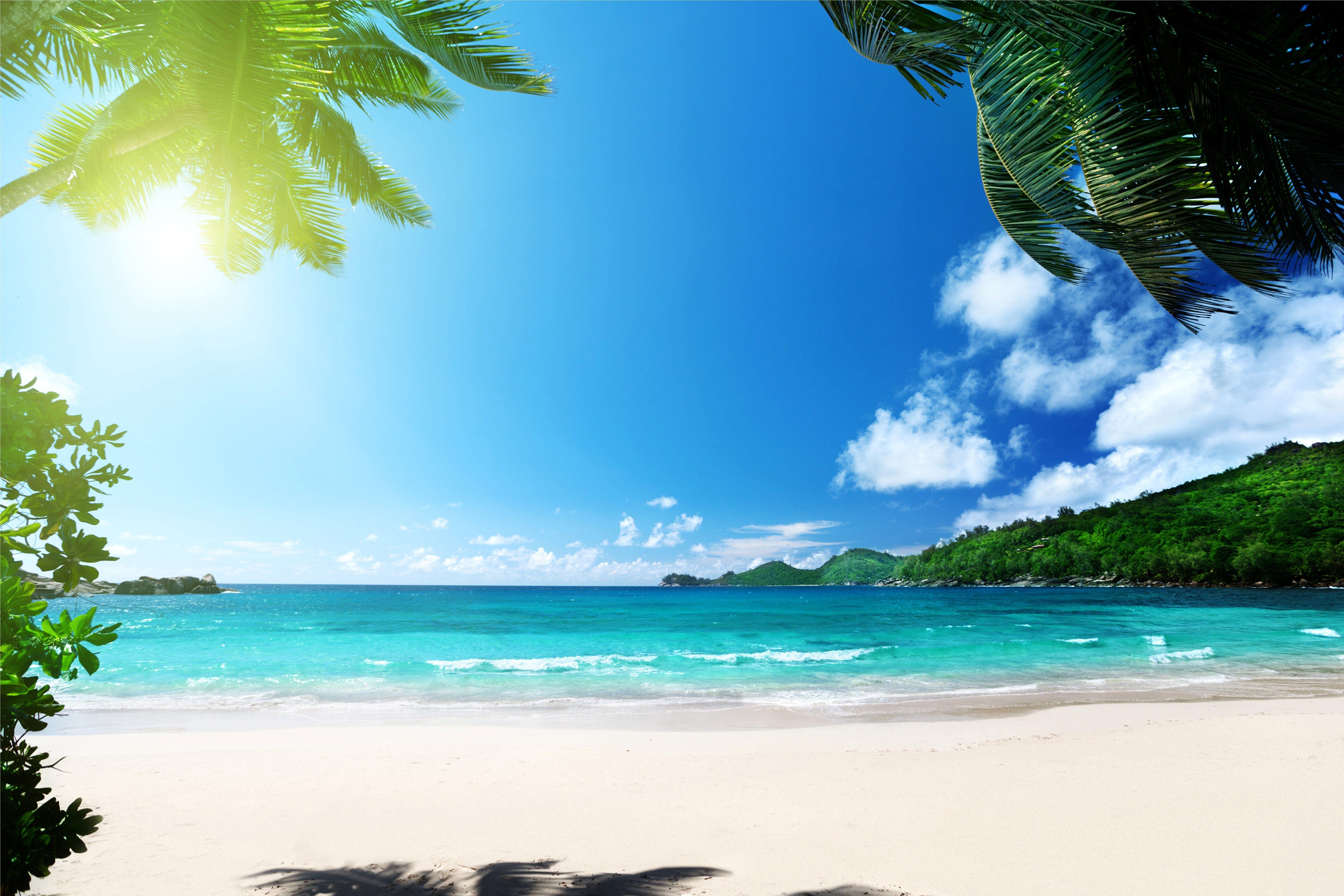 6480x4320 Paradise Wallpaper. Paradise Pier Wallpaper, Tropical Paradise Wallpaper and Bird Paradise Wallpaper