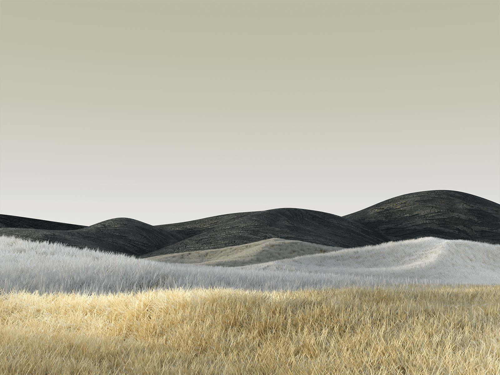 1600x1200 Microsoft Surface Wallpaper by Microsoft Design on Dribbble