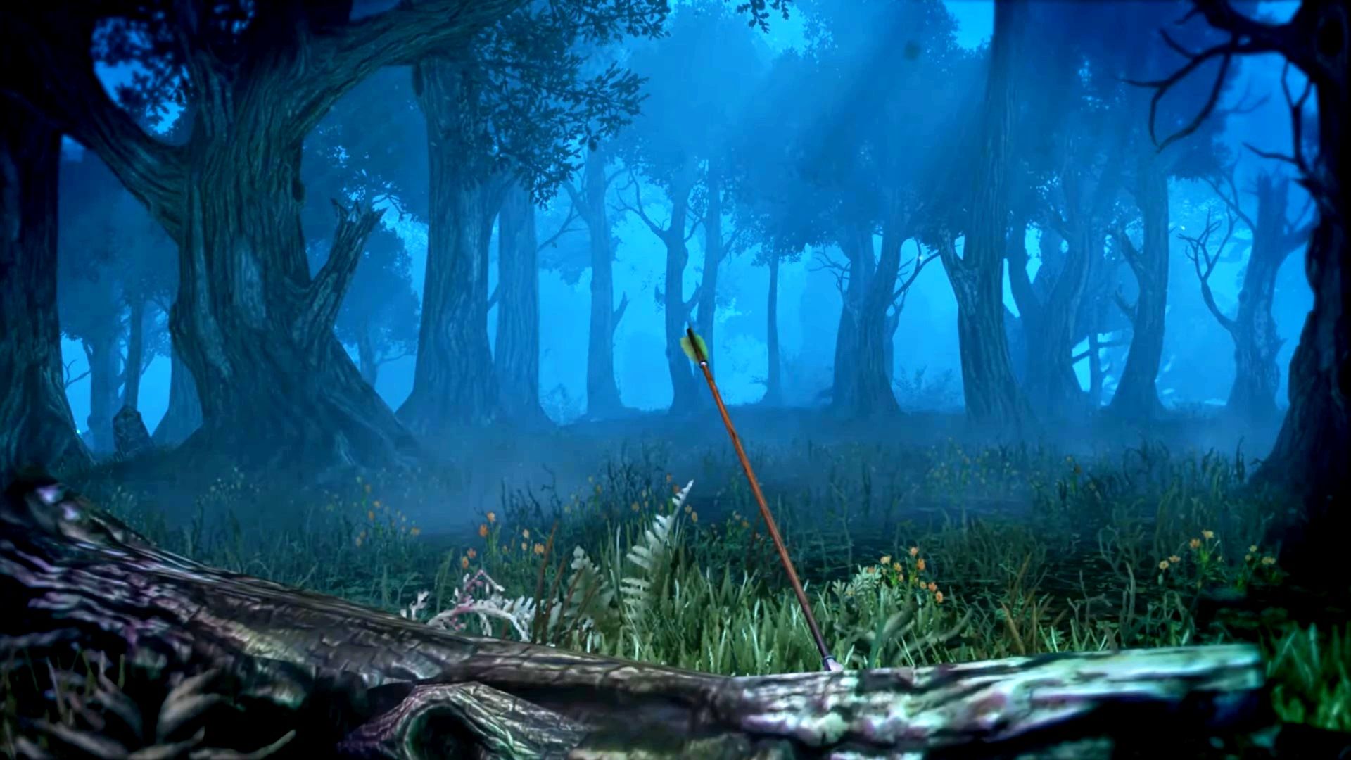 1920x1080 Total Warhammer 2's Wood Elves DLC is now in range