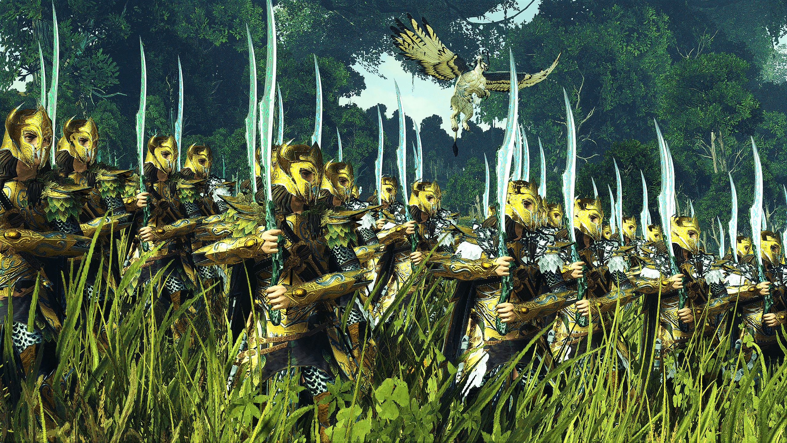 2560x1440 Wood elves