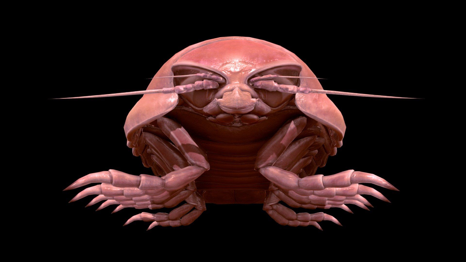 1920x1080 Giant Isopod