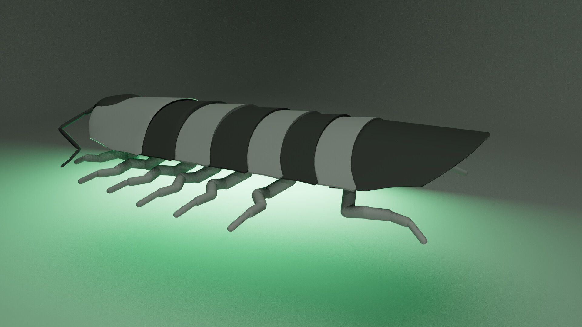 1920x1080 Isopod