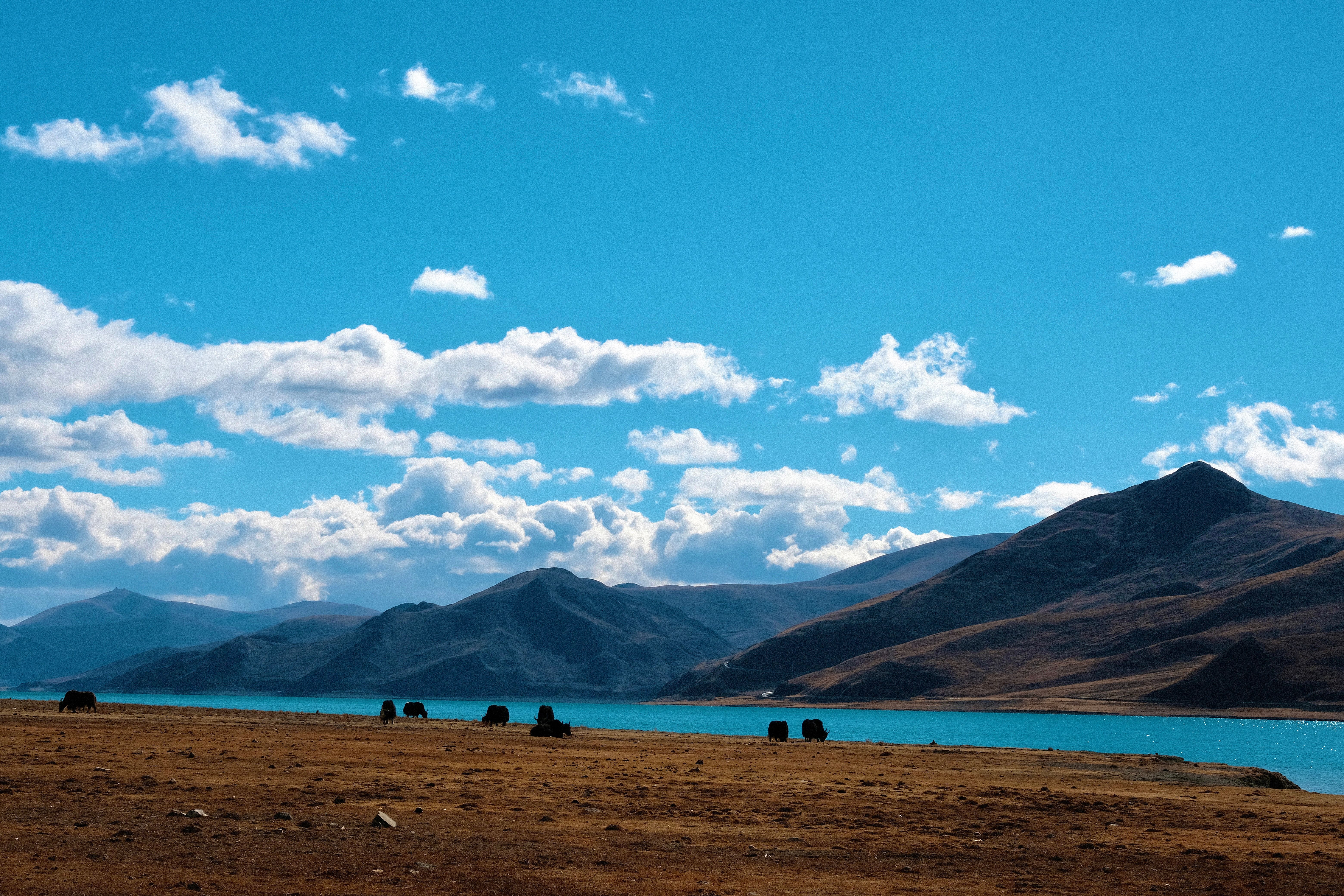 6240x4160 Tibet Photo, Download The BEST Free Tibet & HD Image