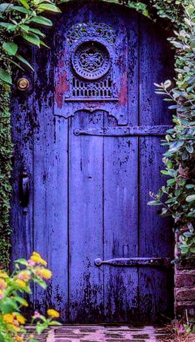 800x1404 THE PURPLE DOOR, house, HD phone wallpaper